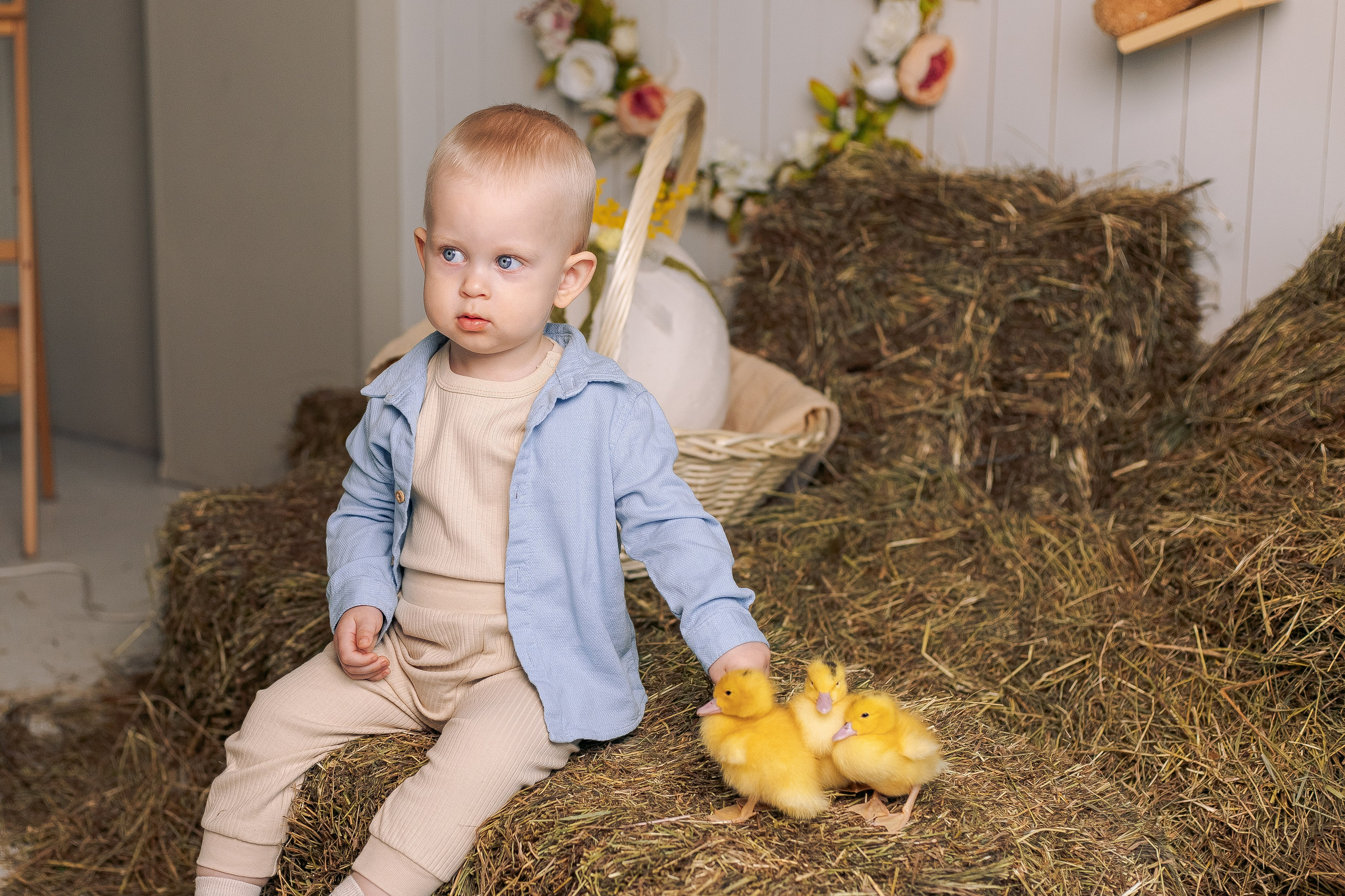 Пасхальная фотосессия с утятами спб. Фотограф в Санкт-Петербурге, Анна Скворцова