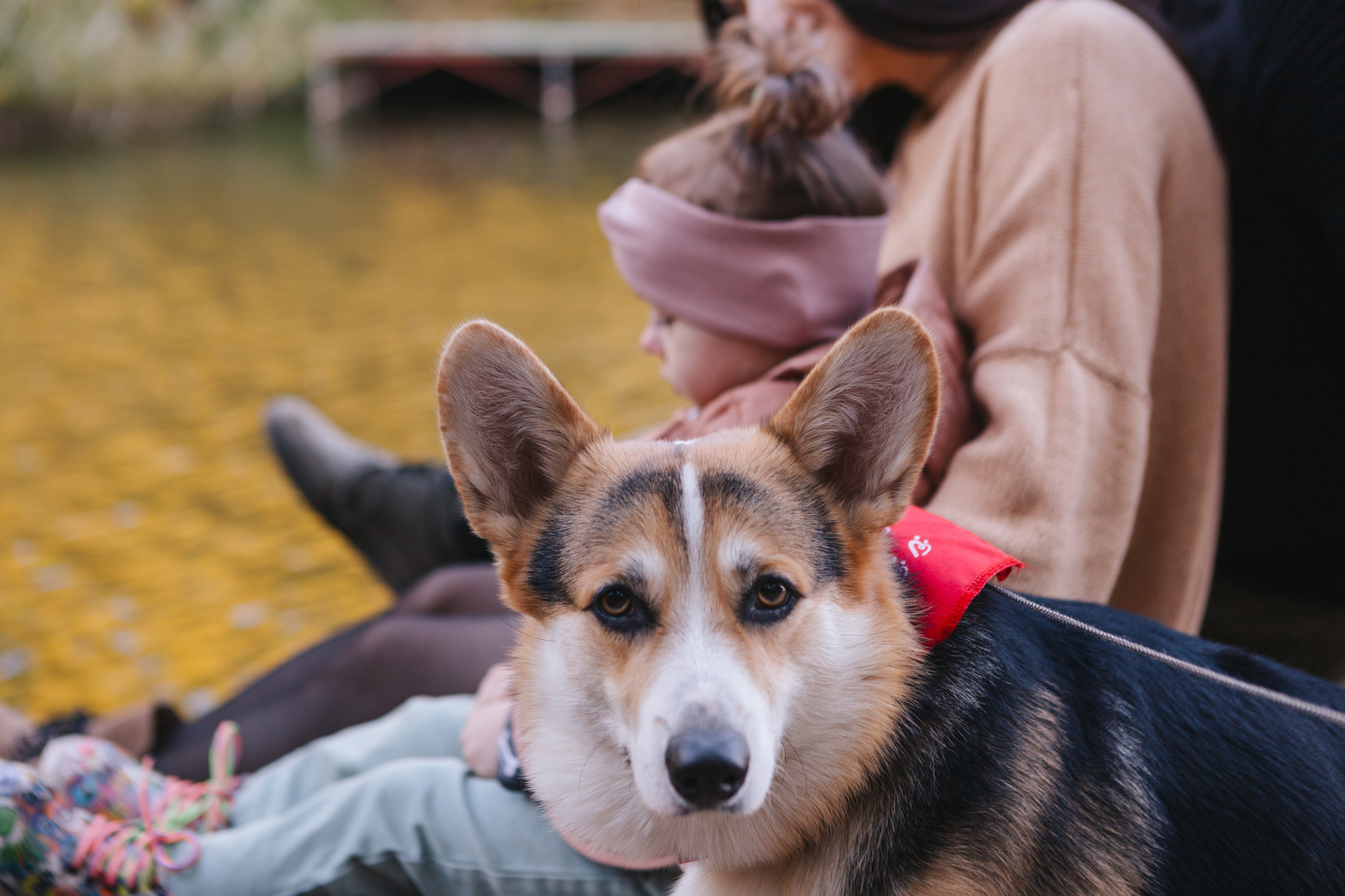 Семейная съемка. Kris geimor фотограф
