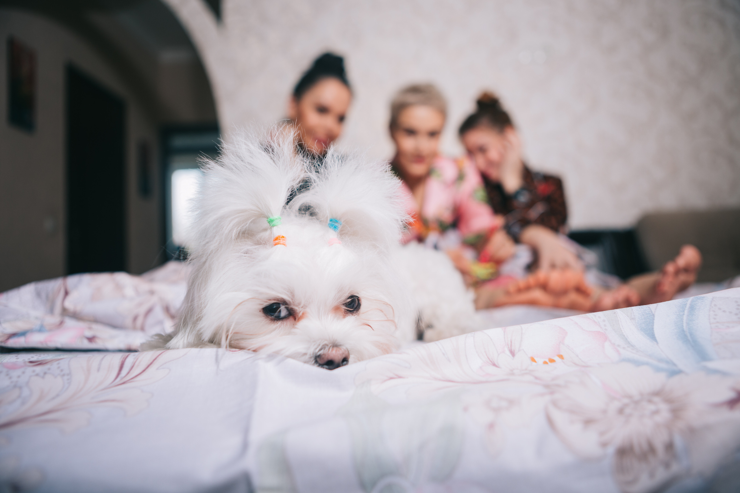 Контент съемки. Kris geimor фотограф