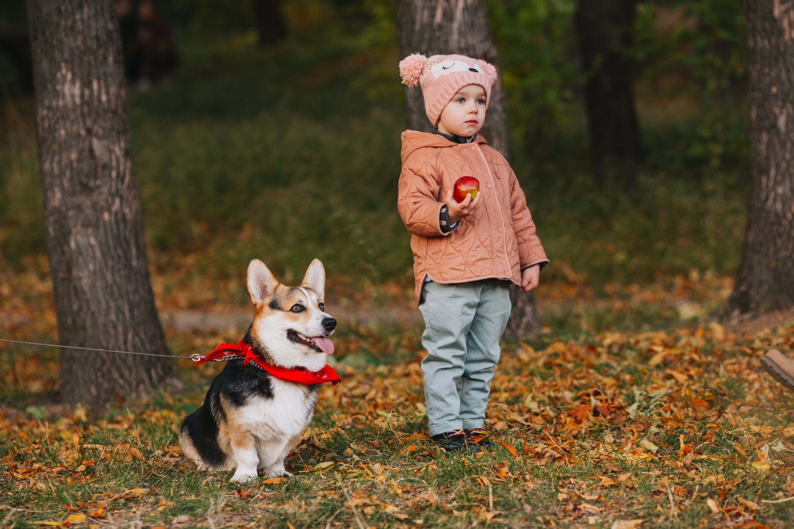 Семейная съемка. Kris geimor фотограф