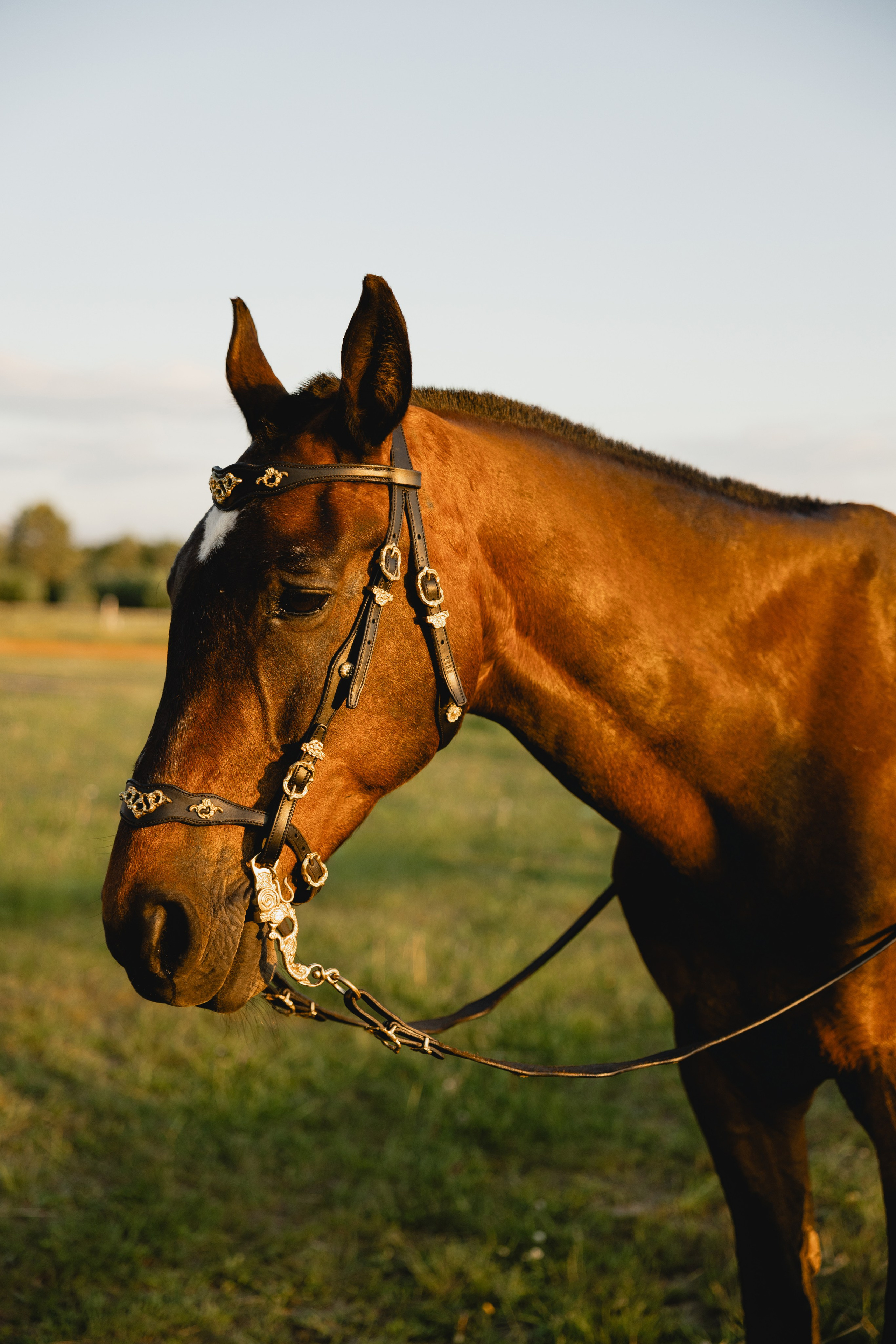 Женский портрет. Ранчо. Портретный фотограф в Южно-Сахалинске Каминская Юлия