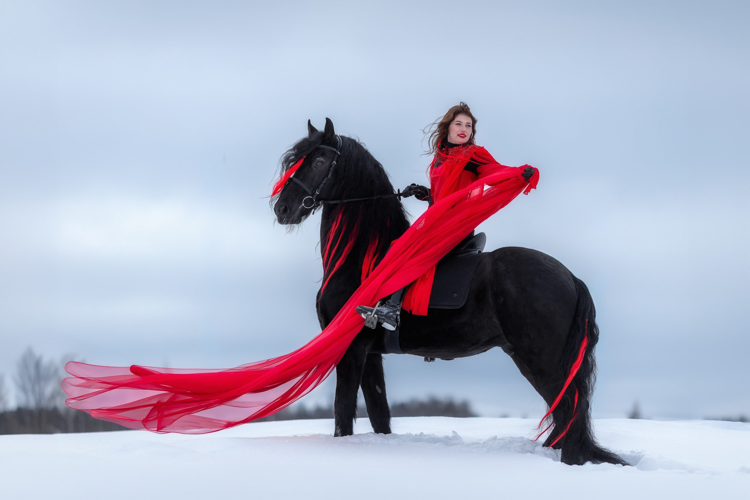 Фотосессия с лошадью зимой. Фотосессии с лошадьми в Москве от фотографа Кутейниковой Светланы