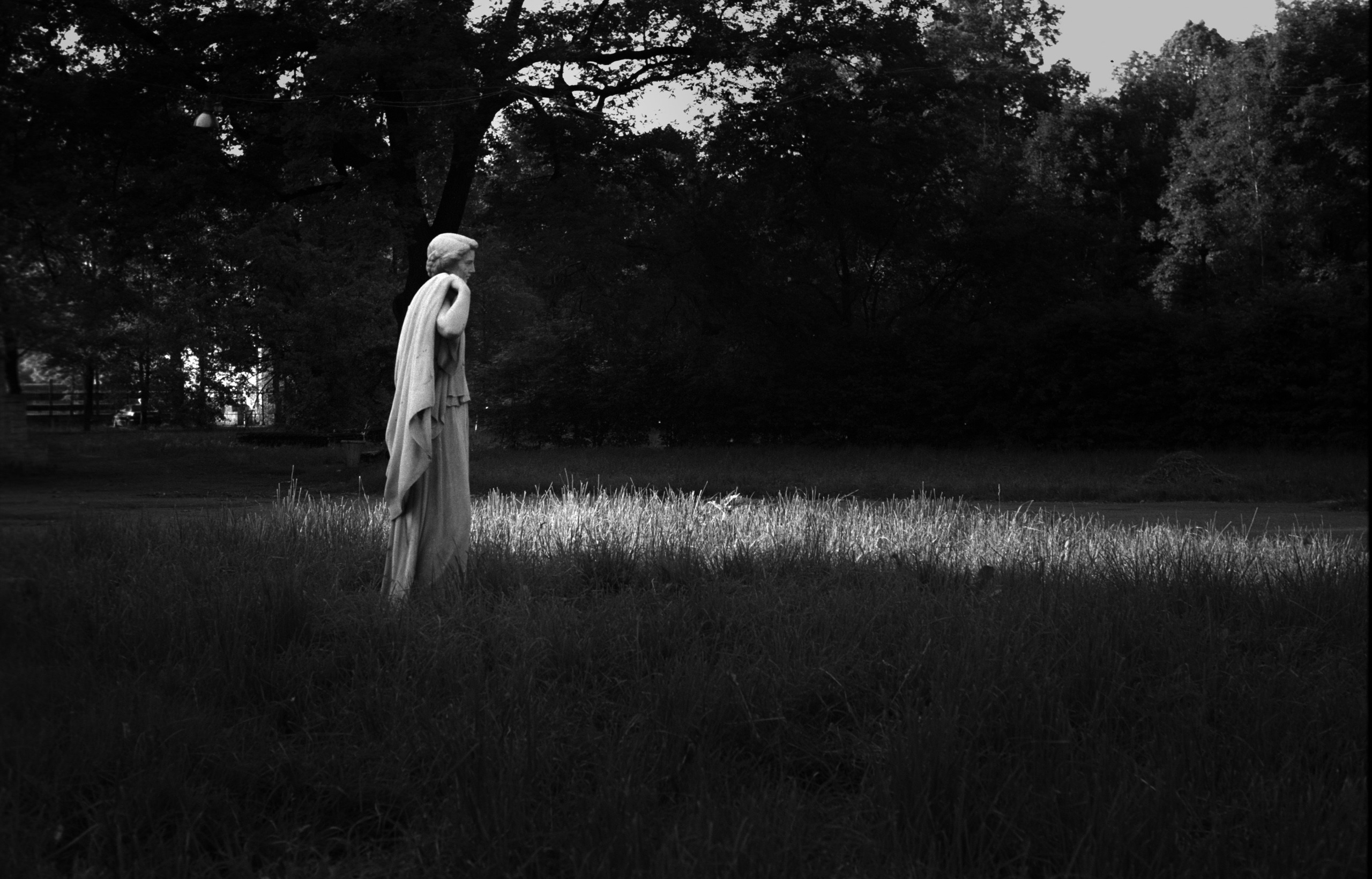 Anima Russa. Елена Цихон художник фотографии и мастер фото-ДНК