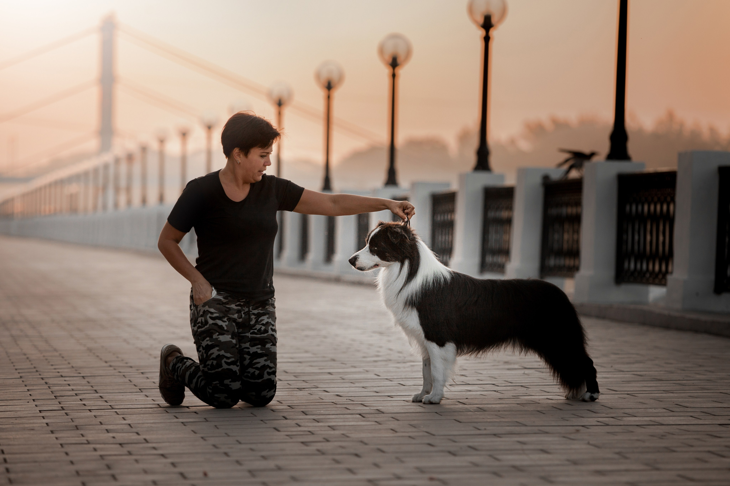 Сочный рассвет, на который решились. О нас