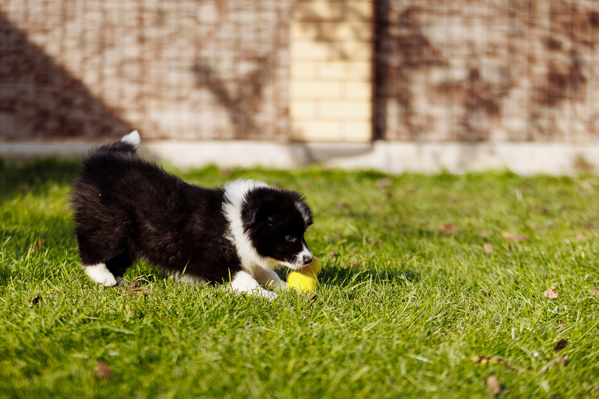 У дома с большой компанией от мала до велика. О нас