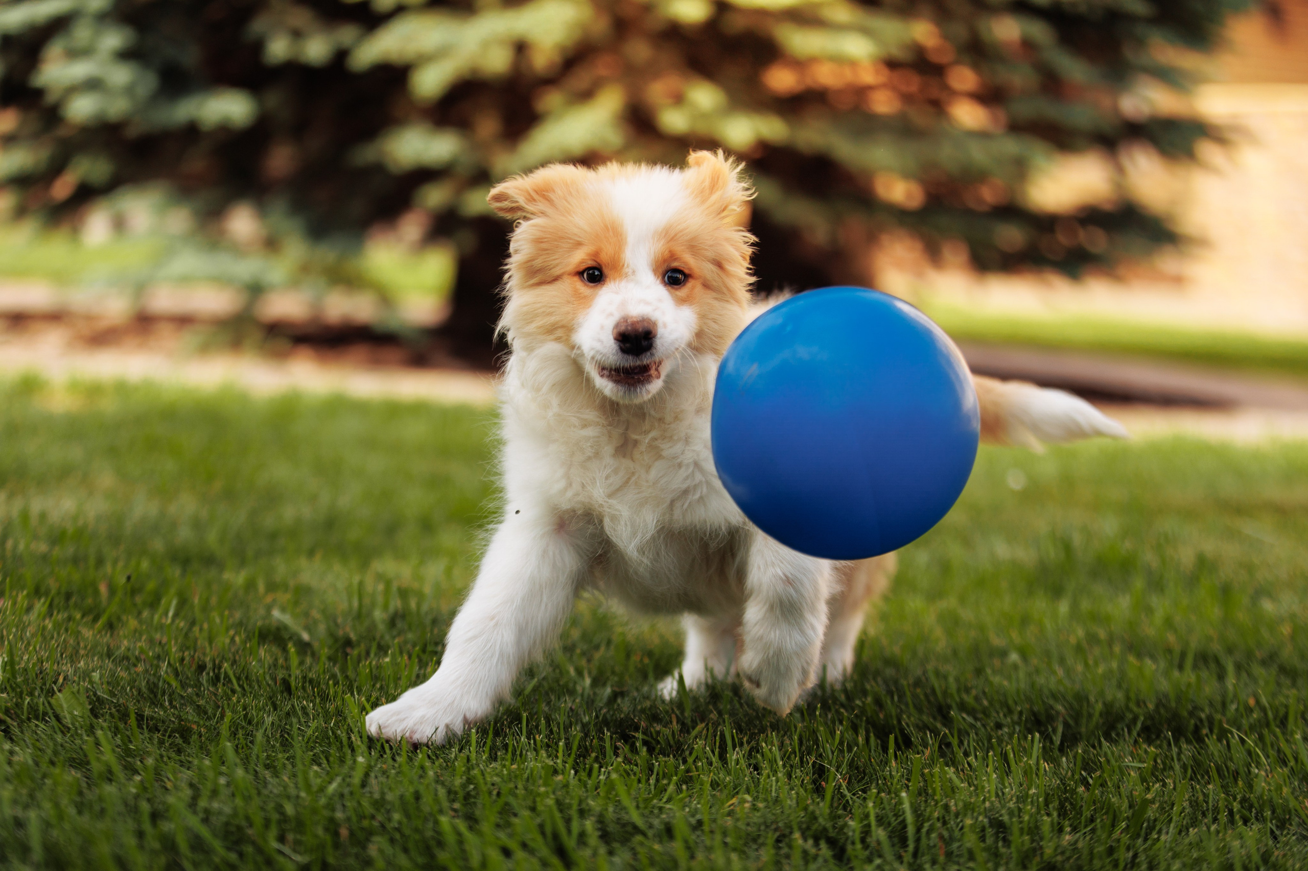 СОлнечные. О нас