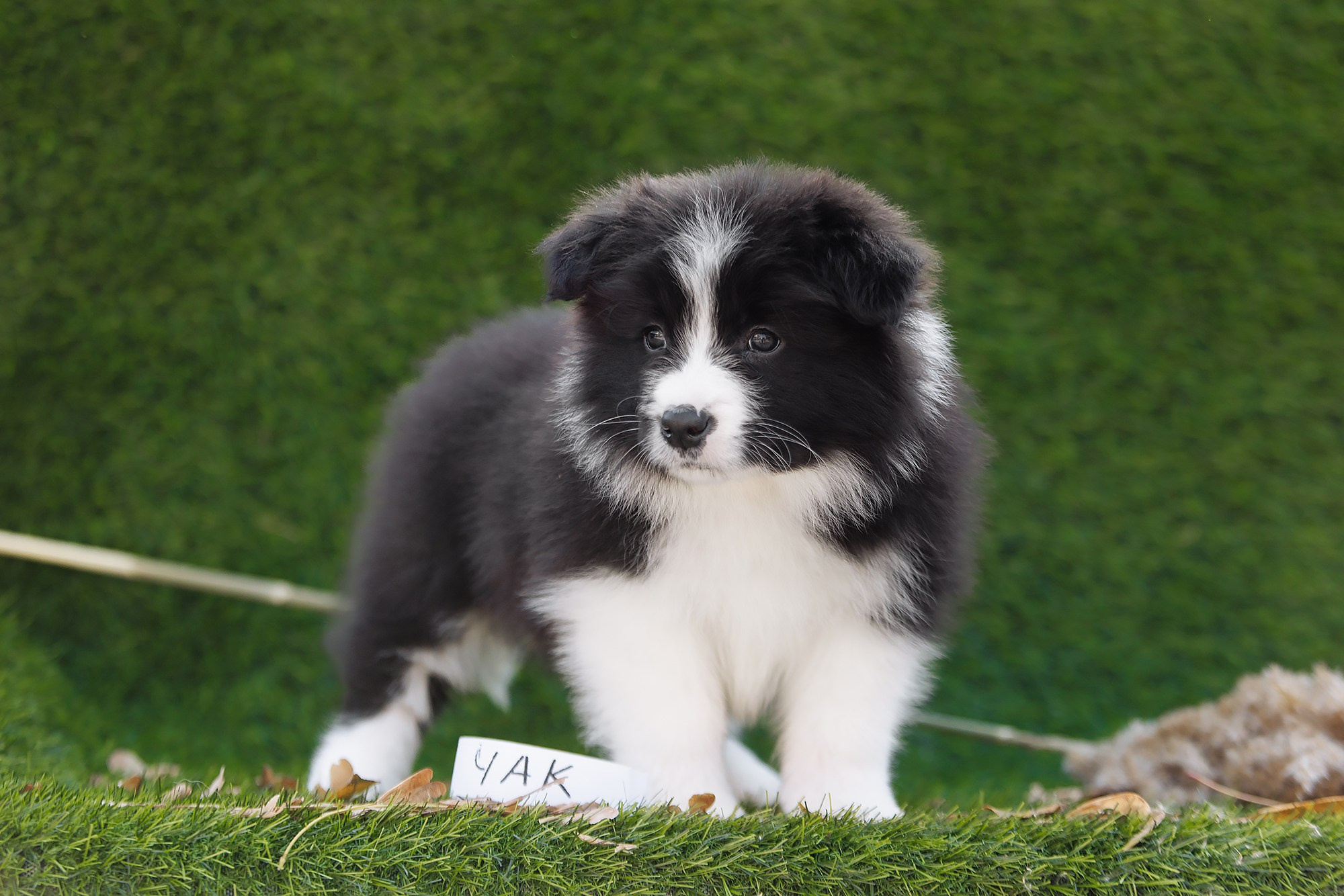 Новый лист. О нас