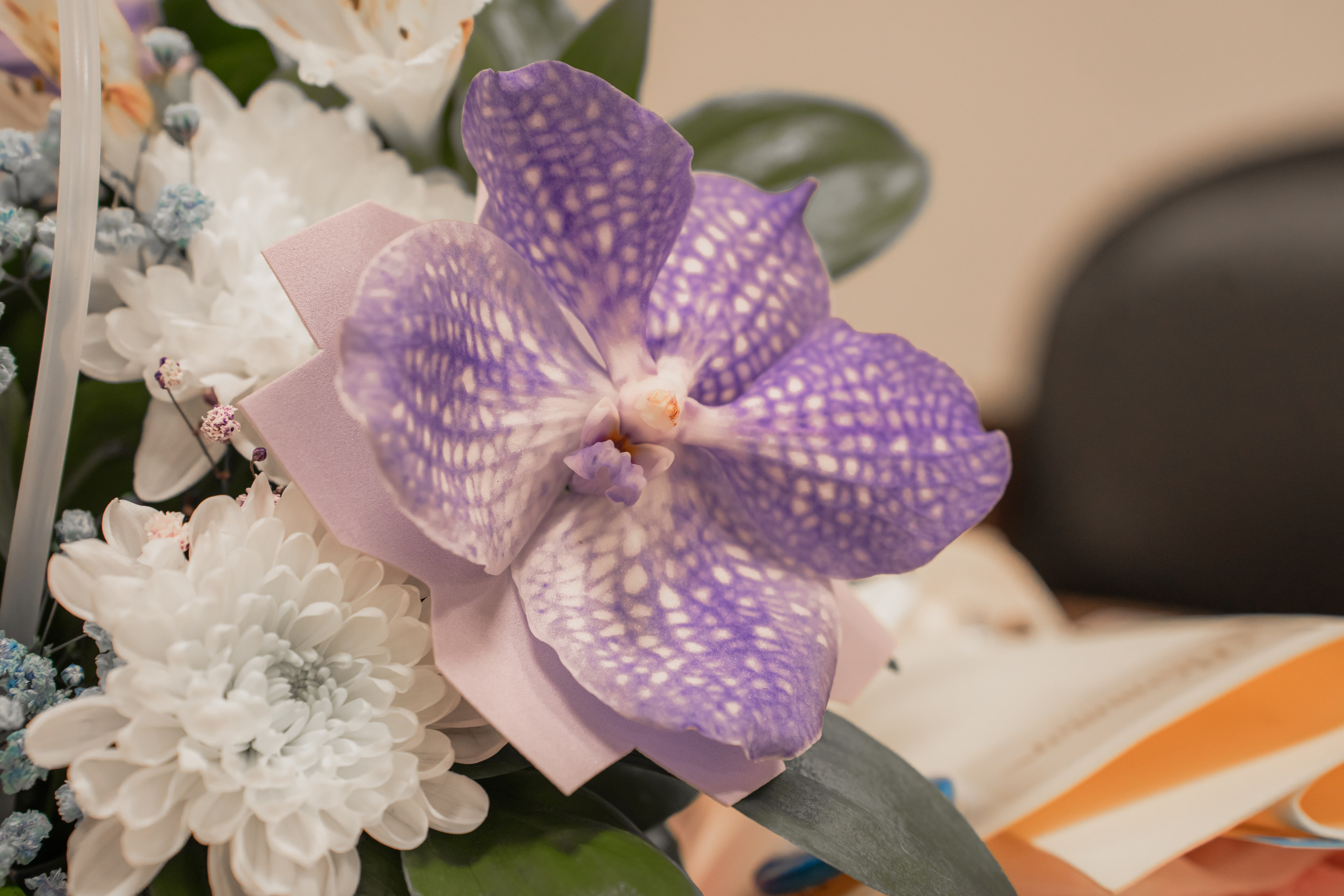 Презентация книги «Человек за бортом», автор София Цой. Репортажный фотограф Анастасия Рубцова