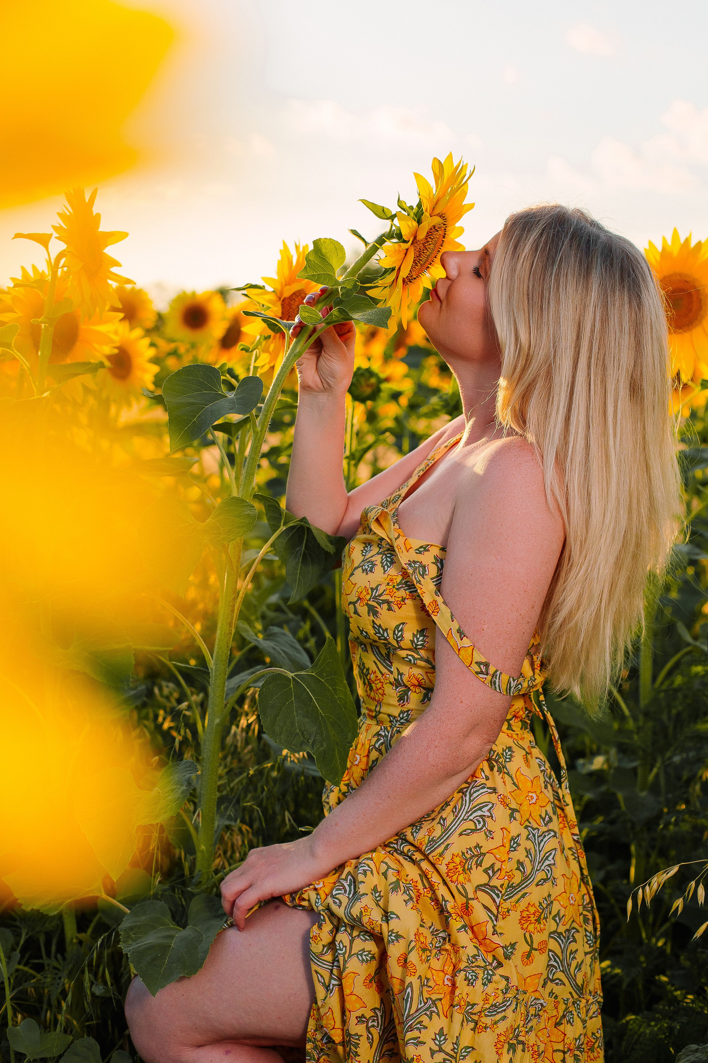 Подсолнухи. Выпускные альбомы Натальи Бутко: Новороссийск, Анапа, Геленджик