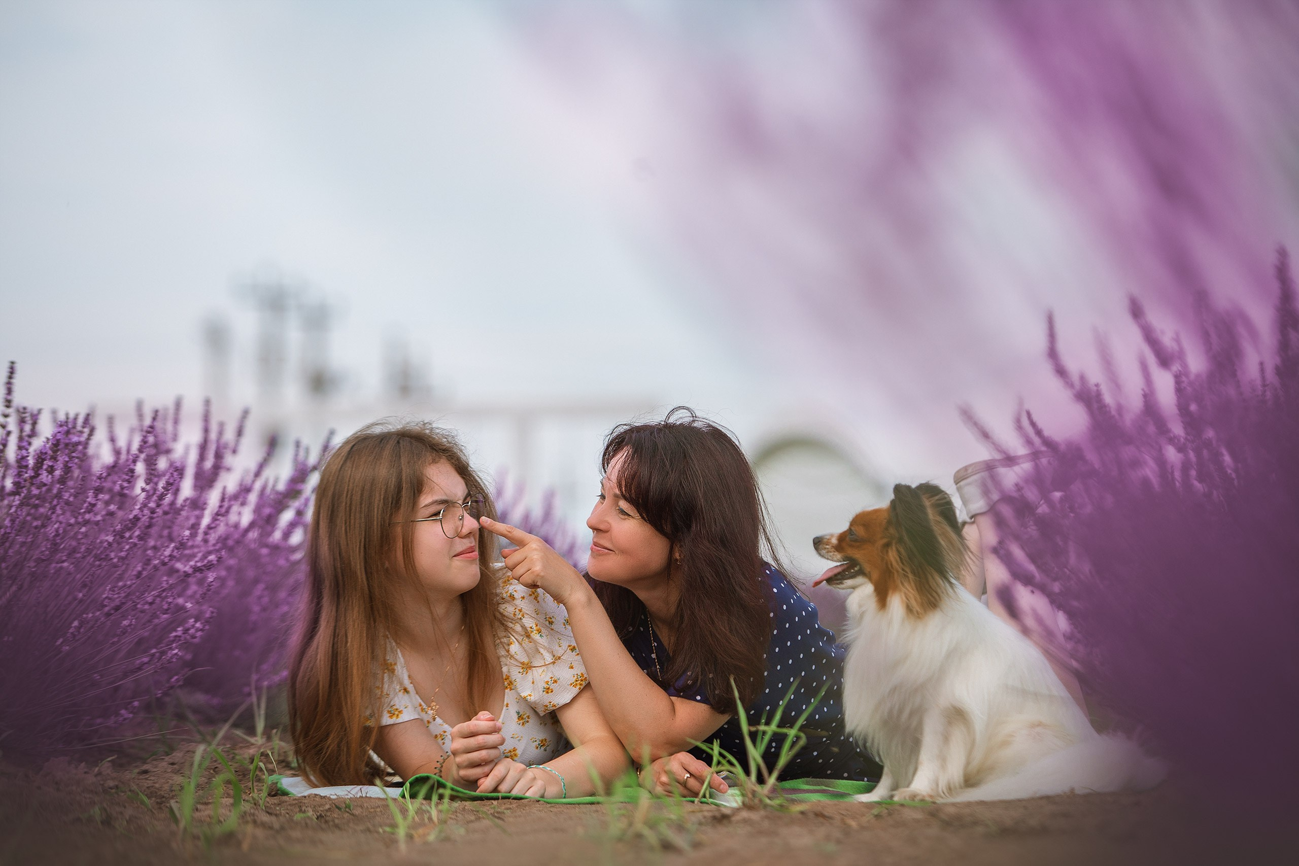 Наташа, Настя и Бест. Фотограф анималист Кузнецова Анна Нижний Новгород