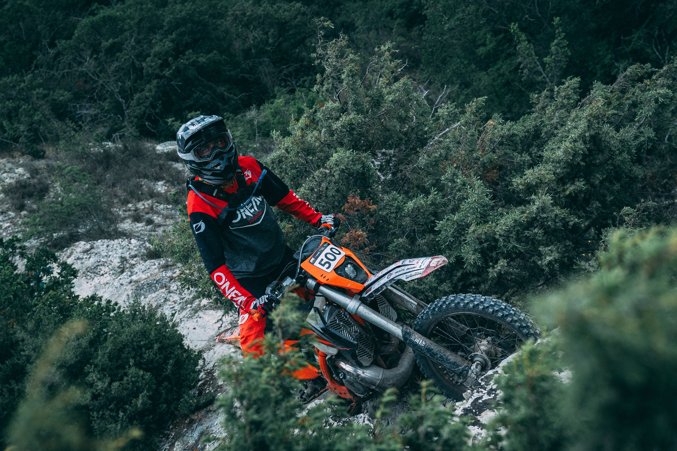 Мероприятия. Фотограф в Крыму Анастасия Оллилайнен