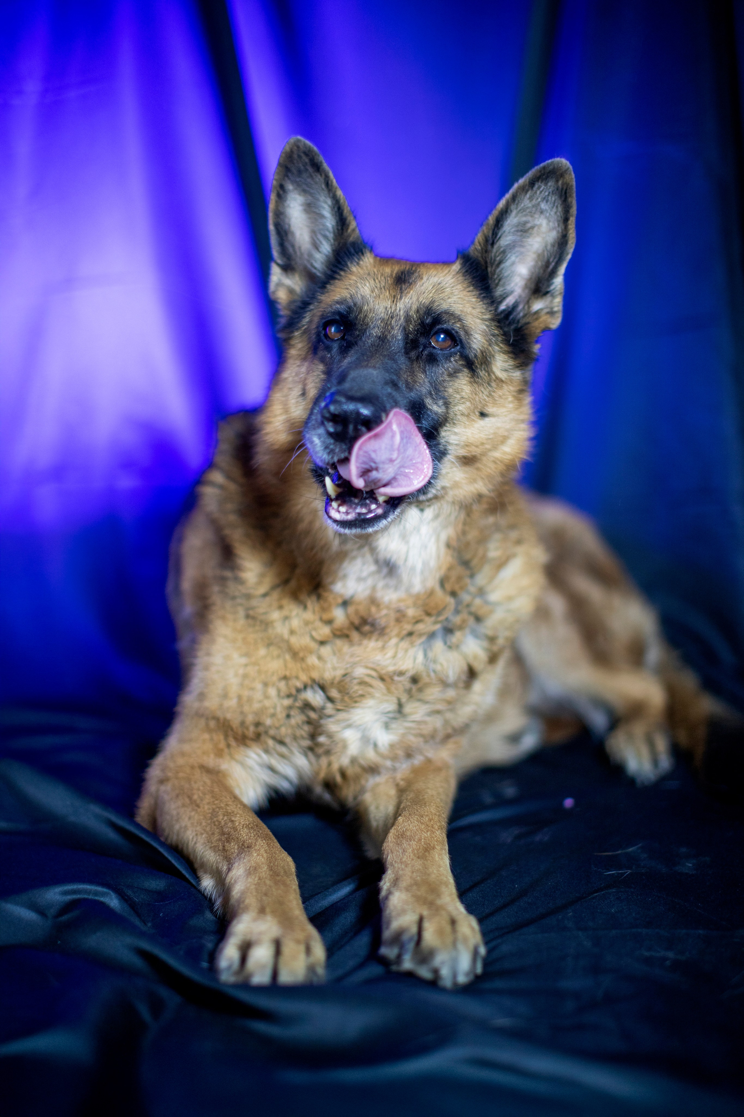 Животные. Фотограф в Москве и в Московской области Сандра