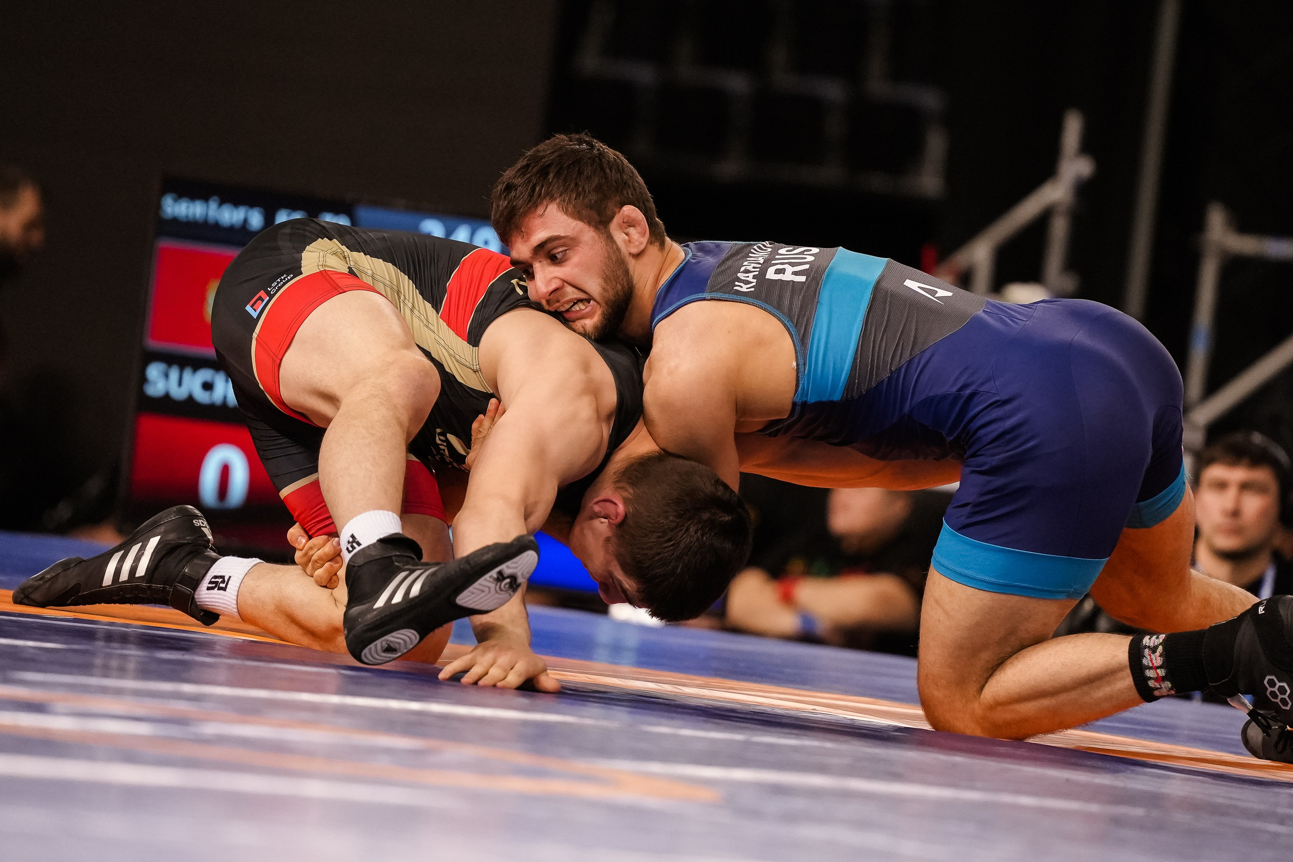 Кубок Ивана Ярыгина 2024 фото / Ivan Yarygin Cup 2024 photos. Фотограф Анна Герман. Красноярск