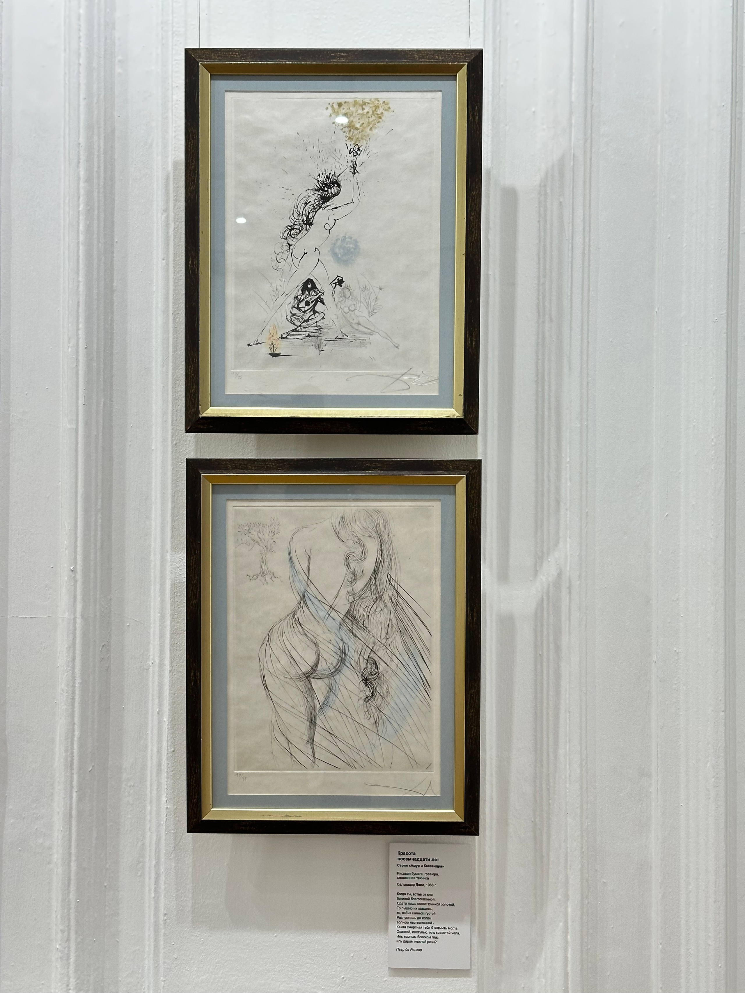 Выставка Дали & Пикассо. Фотосессии и репортаж — Фотограф в Москве — Рина Серёгина