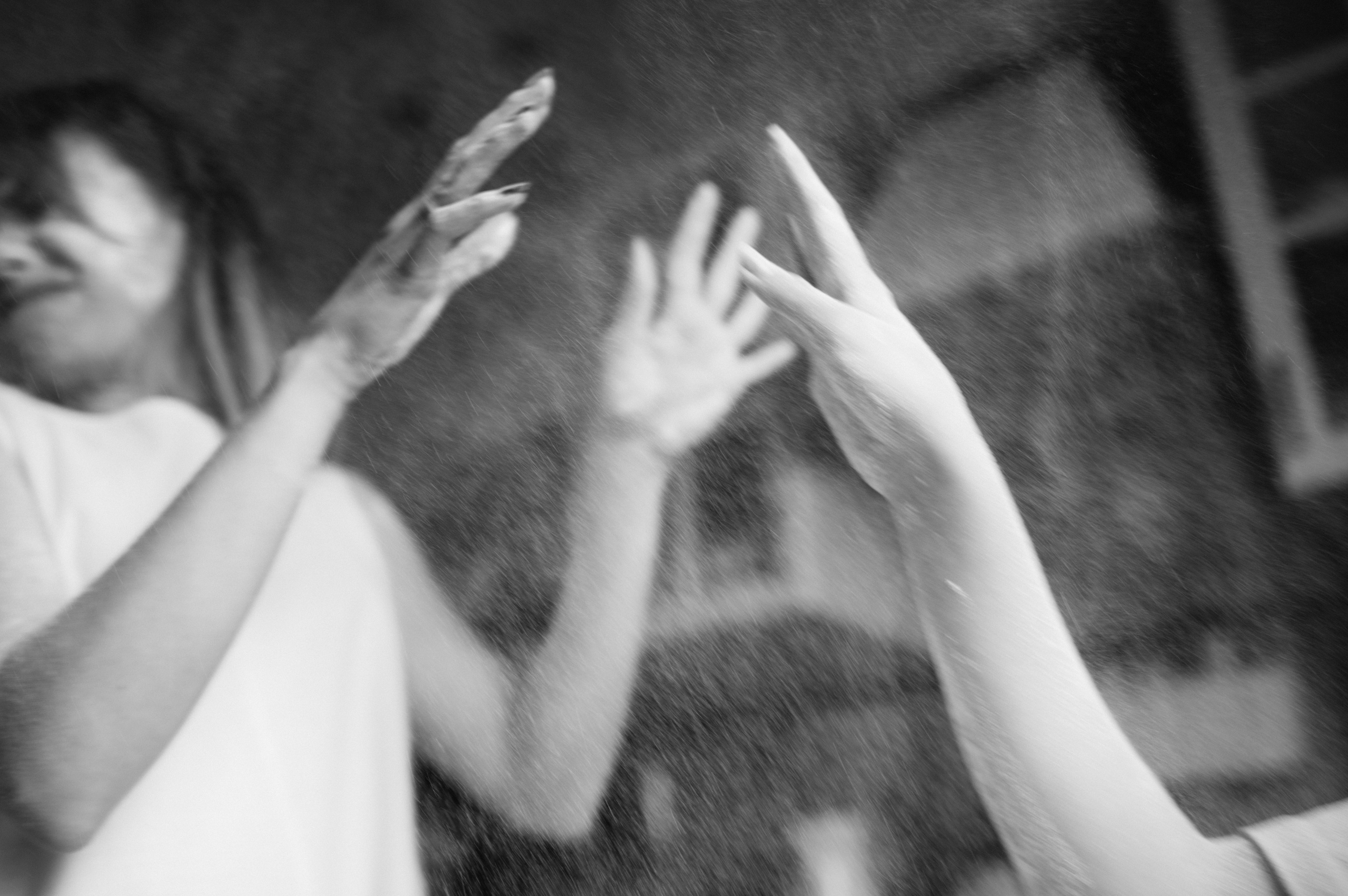 Даша, Диана, Дебби и маленькая крыска. Фотограф анималист в Москве Ольга Агушева