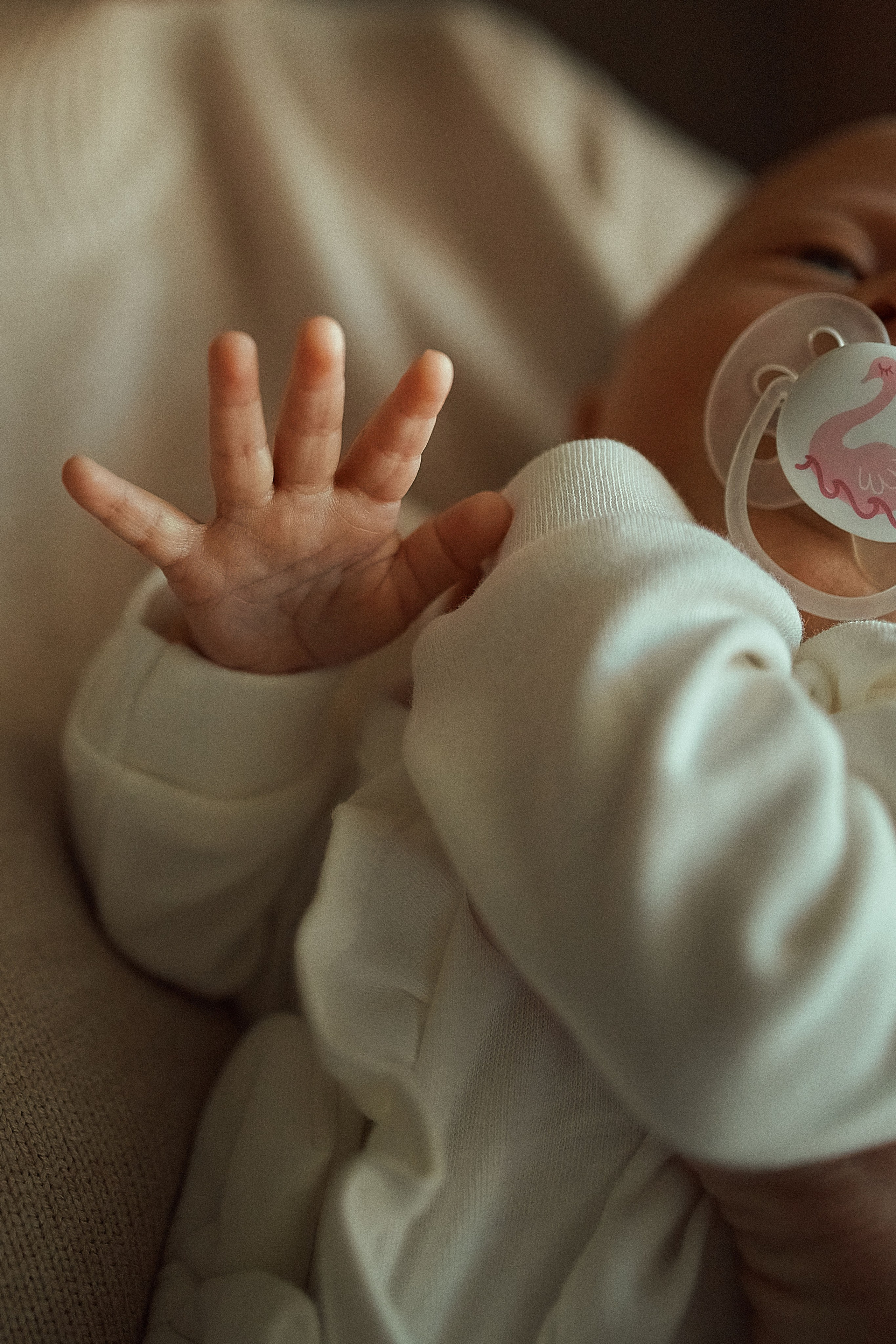 Услуги. Edomaphoto.ru