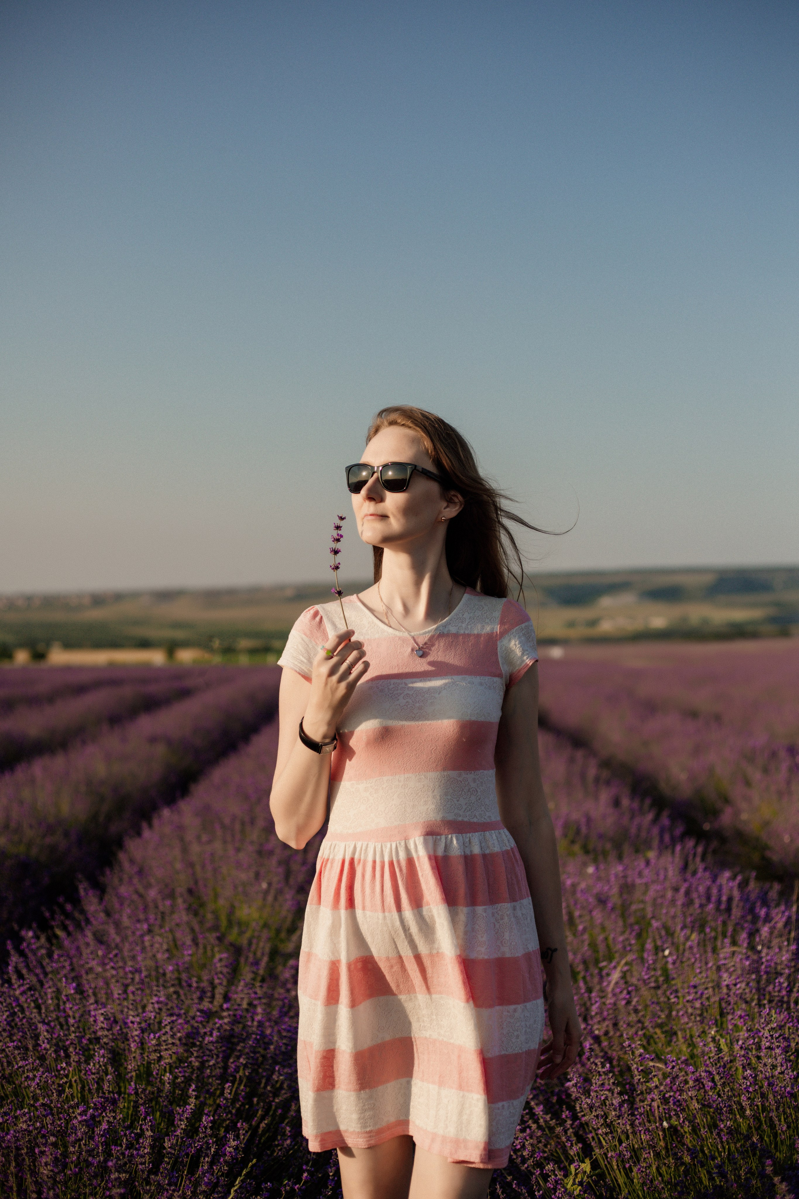 Лаванда. Фотограф и Видеограф Севастополь Крым