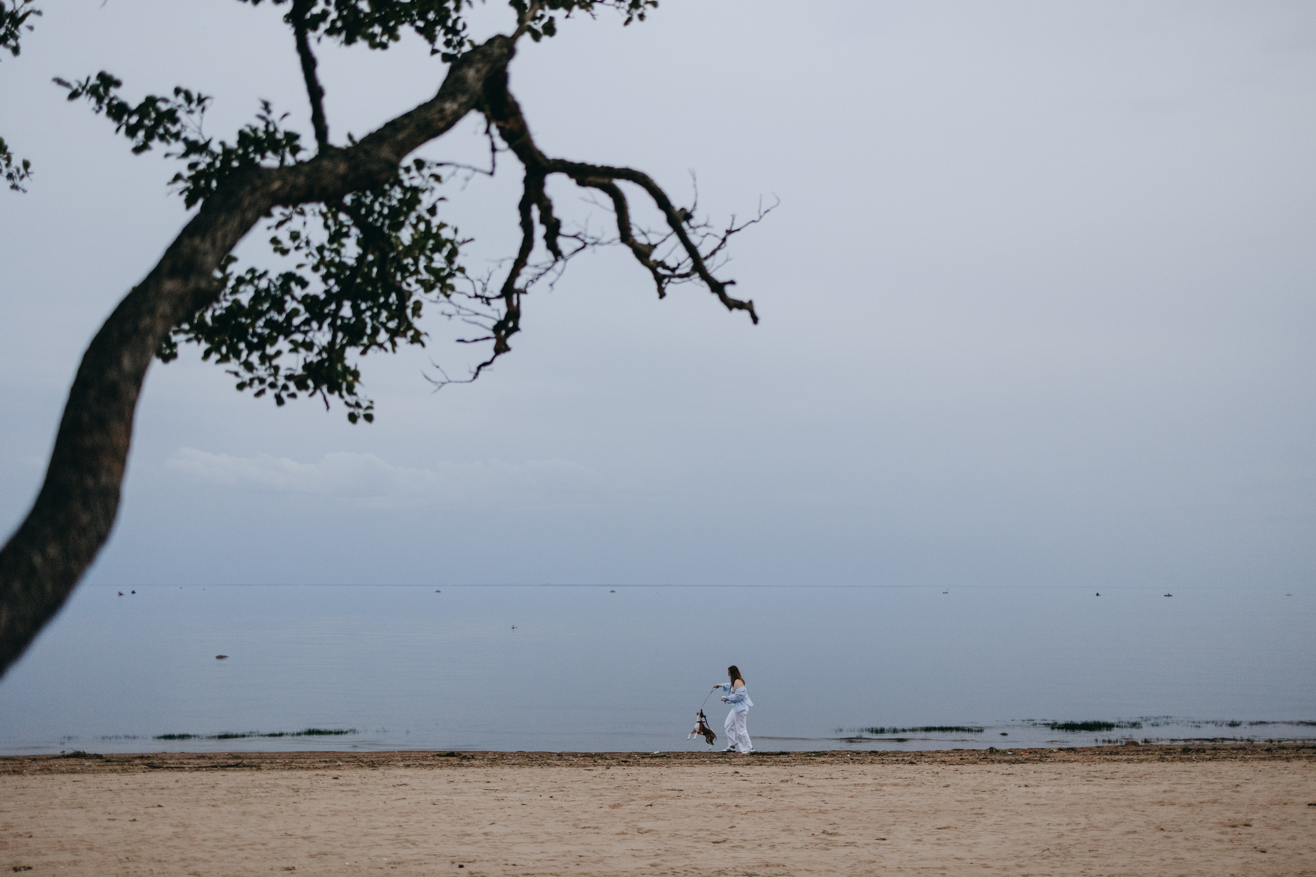 Даша и Арчи. Фотограф — Анималист | Санкт-Петербург