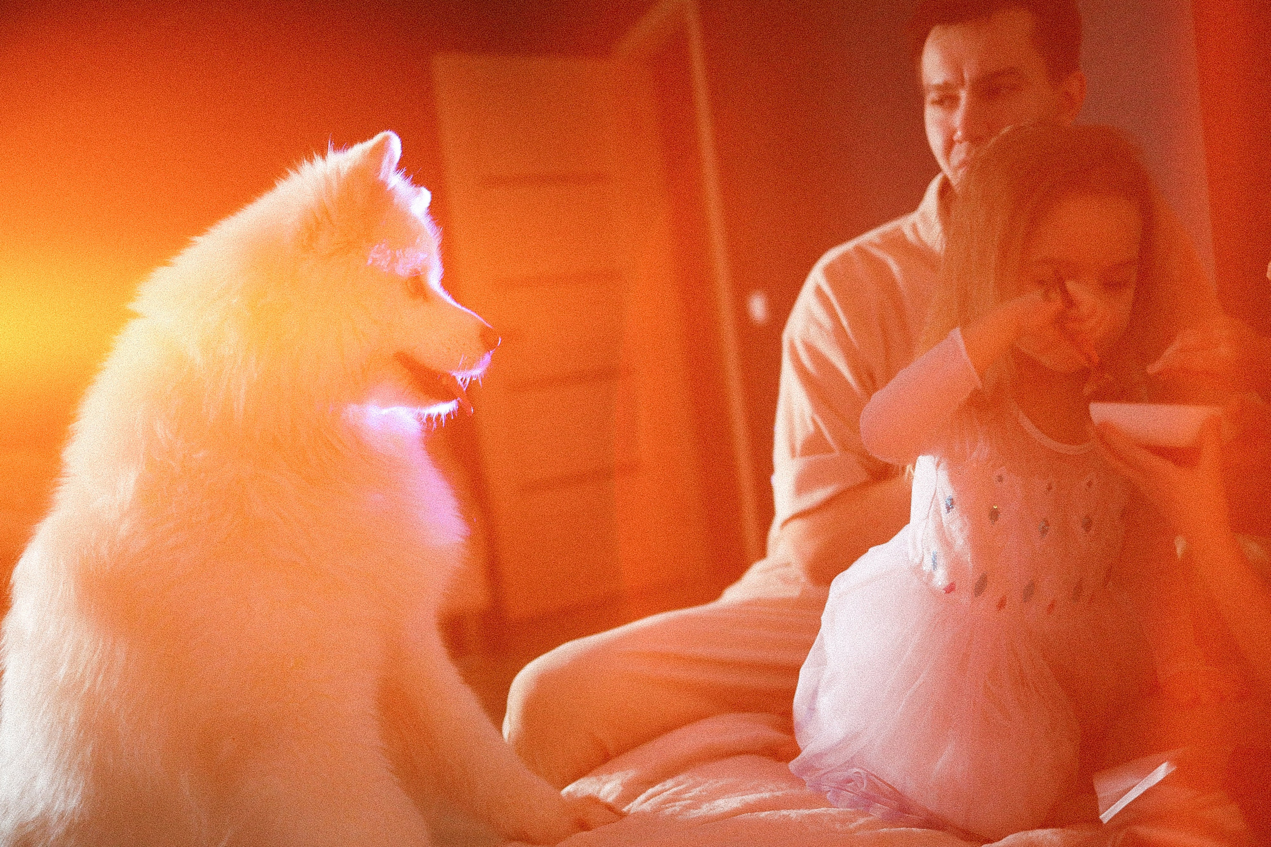 Домашний репортаж. Семейный фотограф в Тюмени | Алёна Снопкова