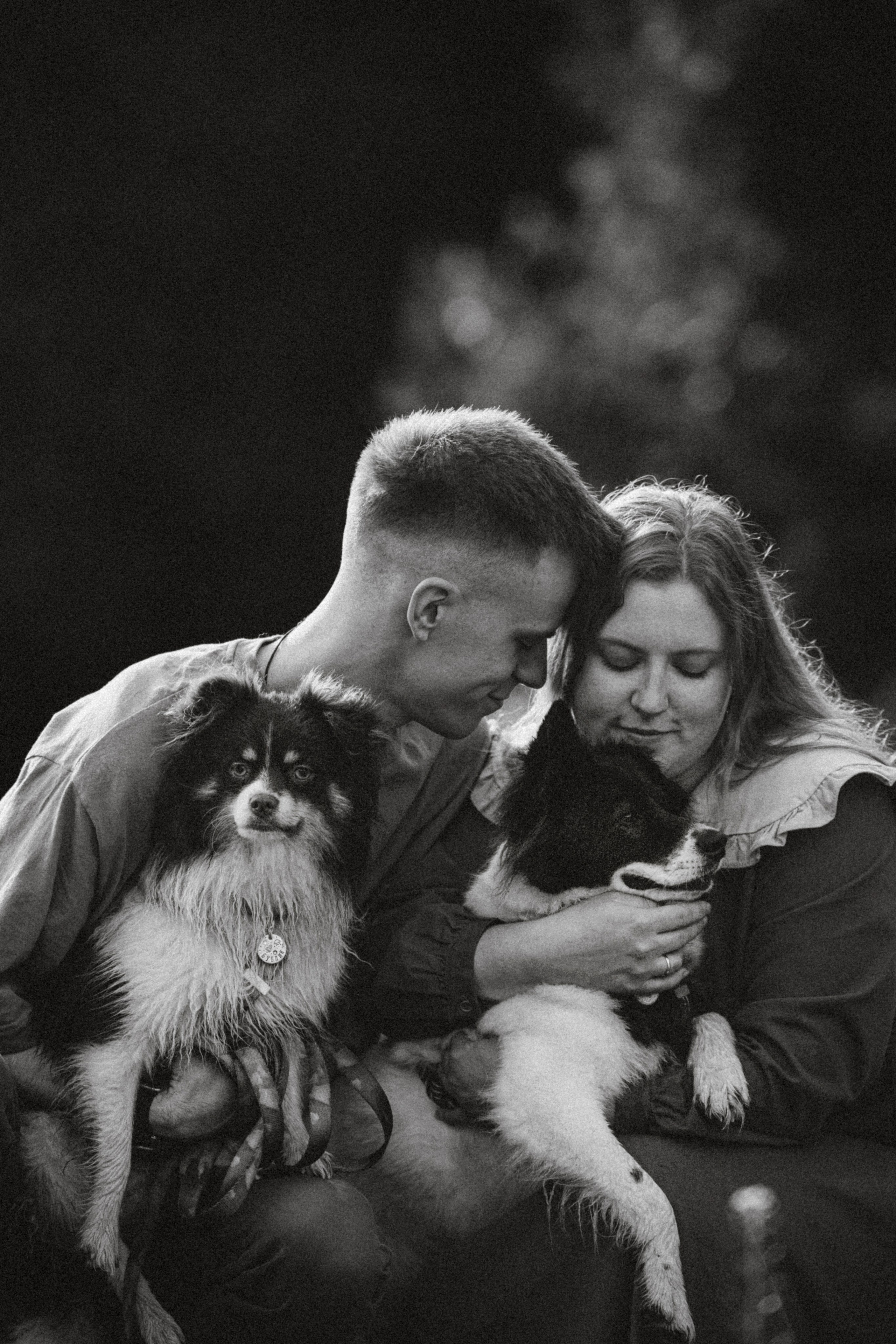 Фифа, Кнопка, Бублик и их семья