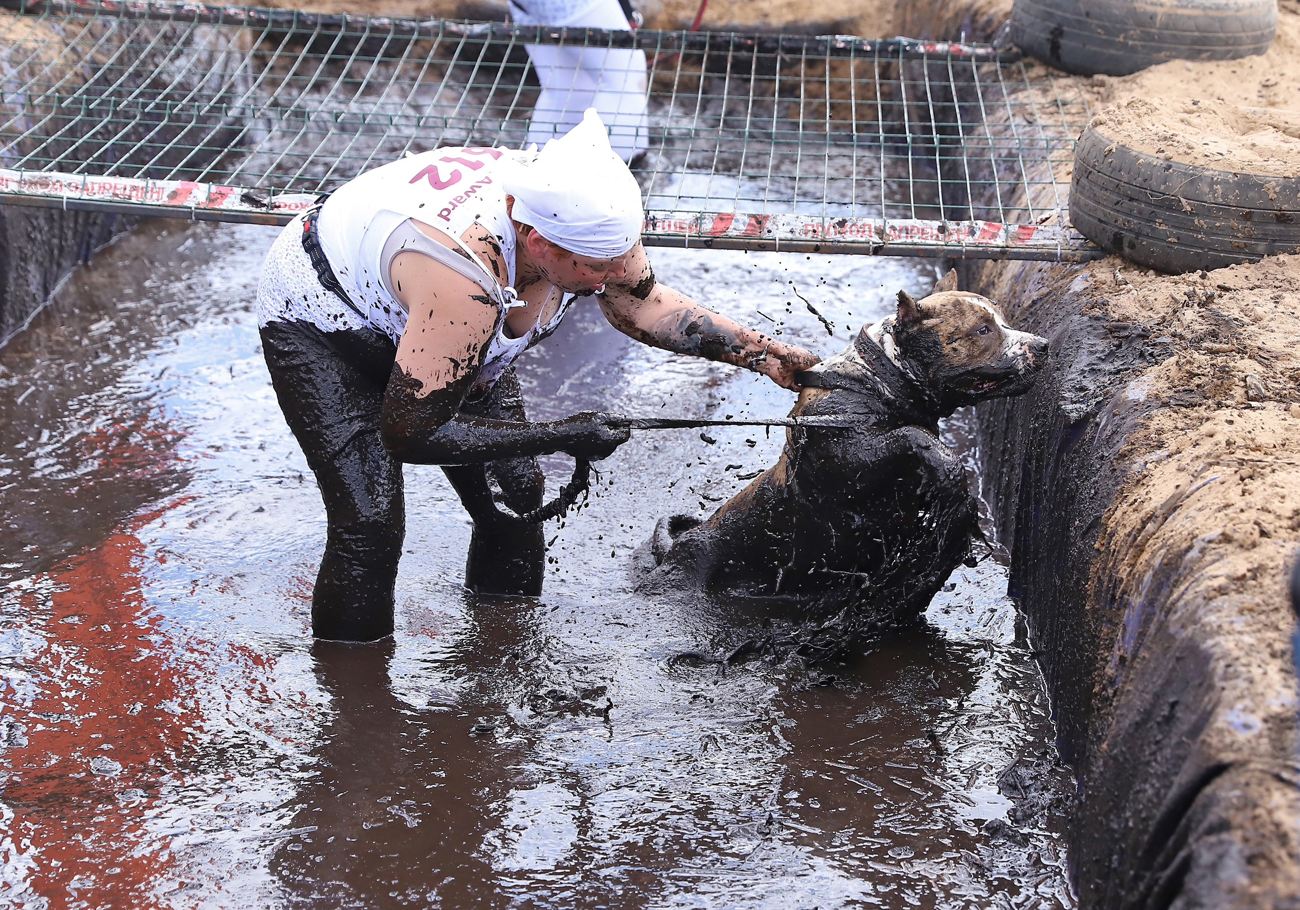 Хвостатый драйв. Семейный и детский фотограф в Москве и МО Елена Москвичева