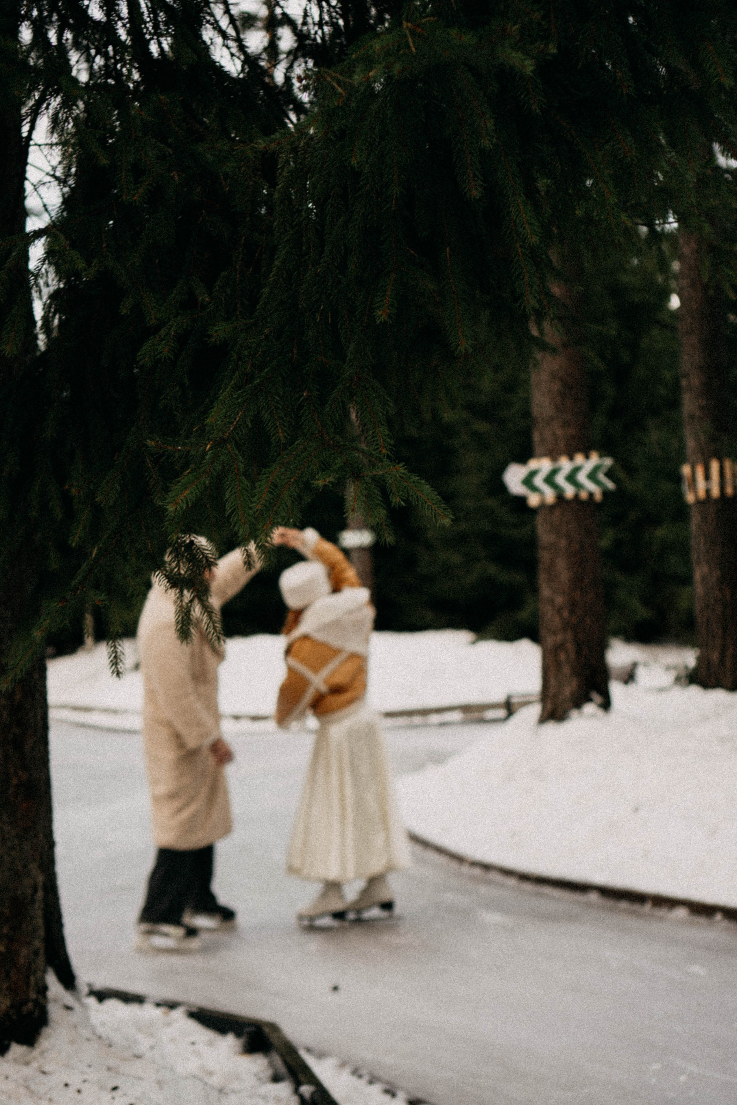 Каток. Профессиональный фотограф, Санкт-Петербург — Виктория Богомолова