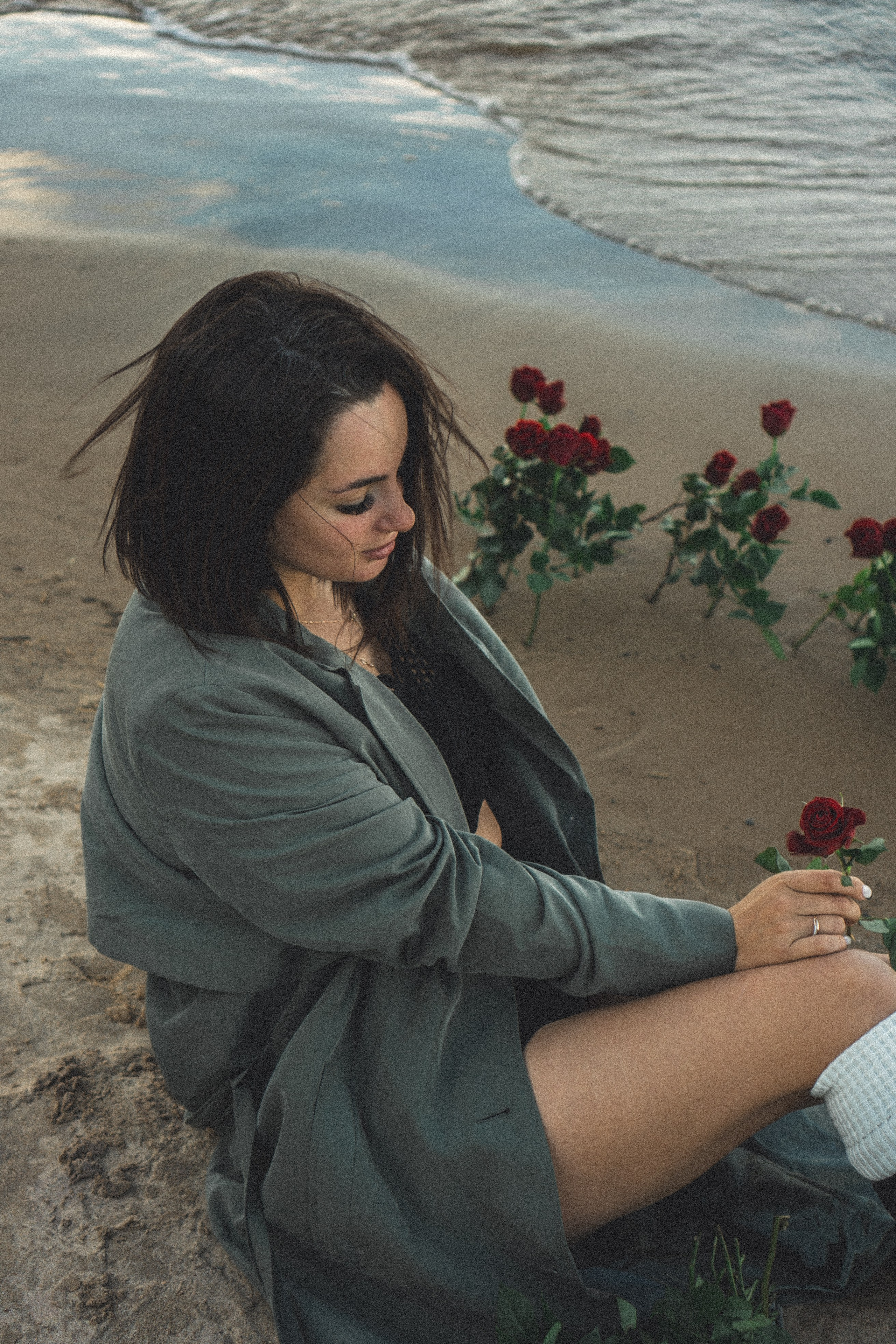 Розы. Профессиональный фотограф, Санкт-Петербург — Виктория Богомолова