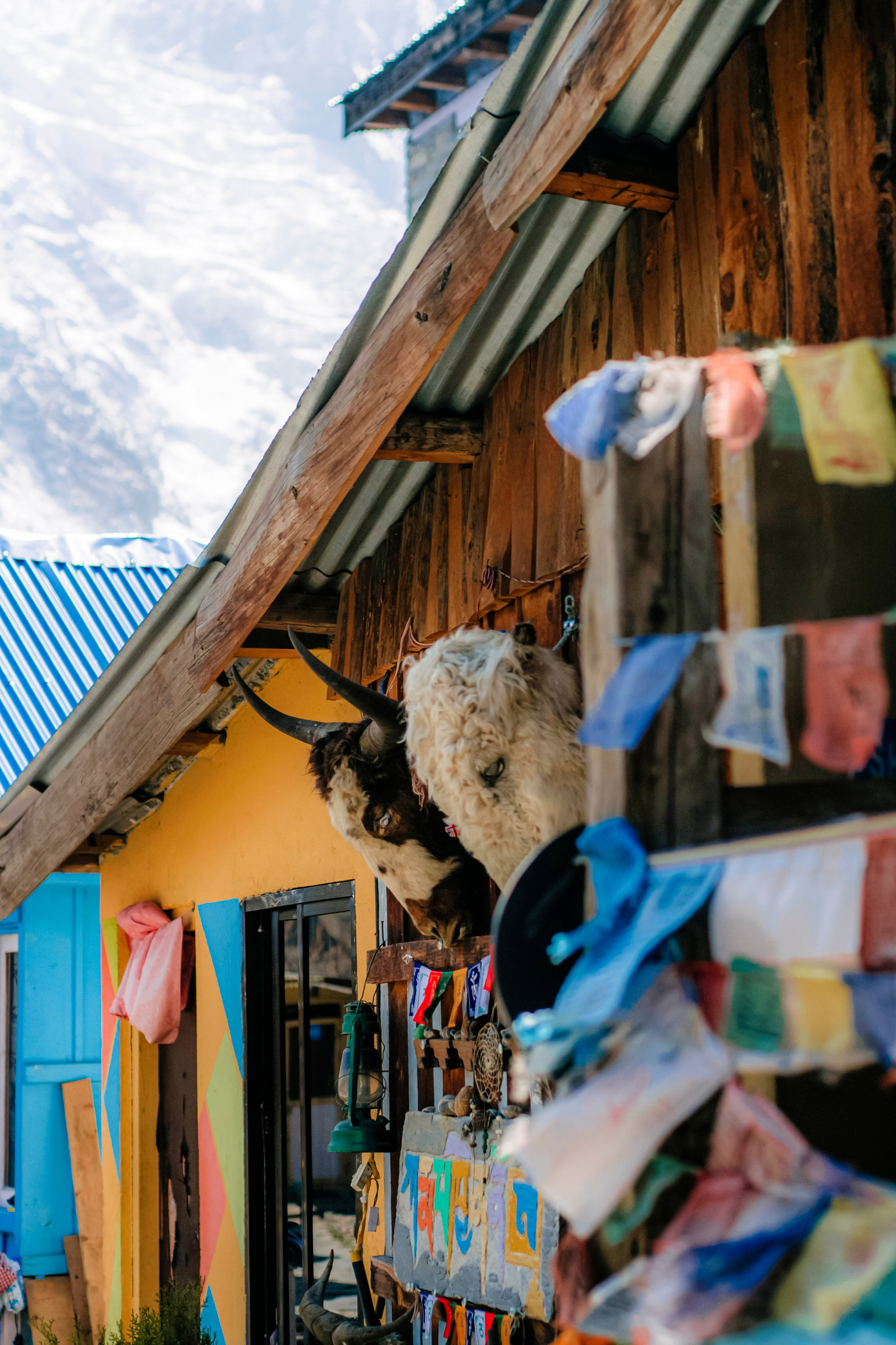 Annapurna trek. Iraogo