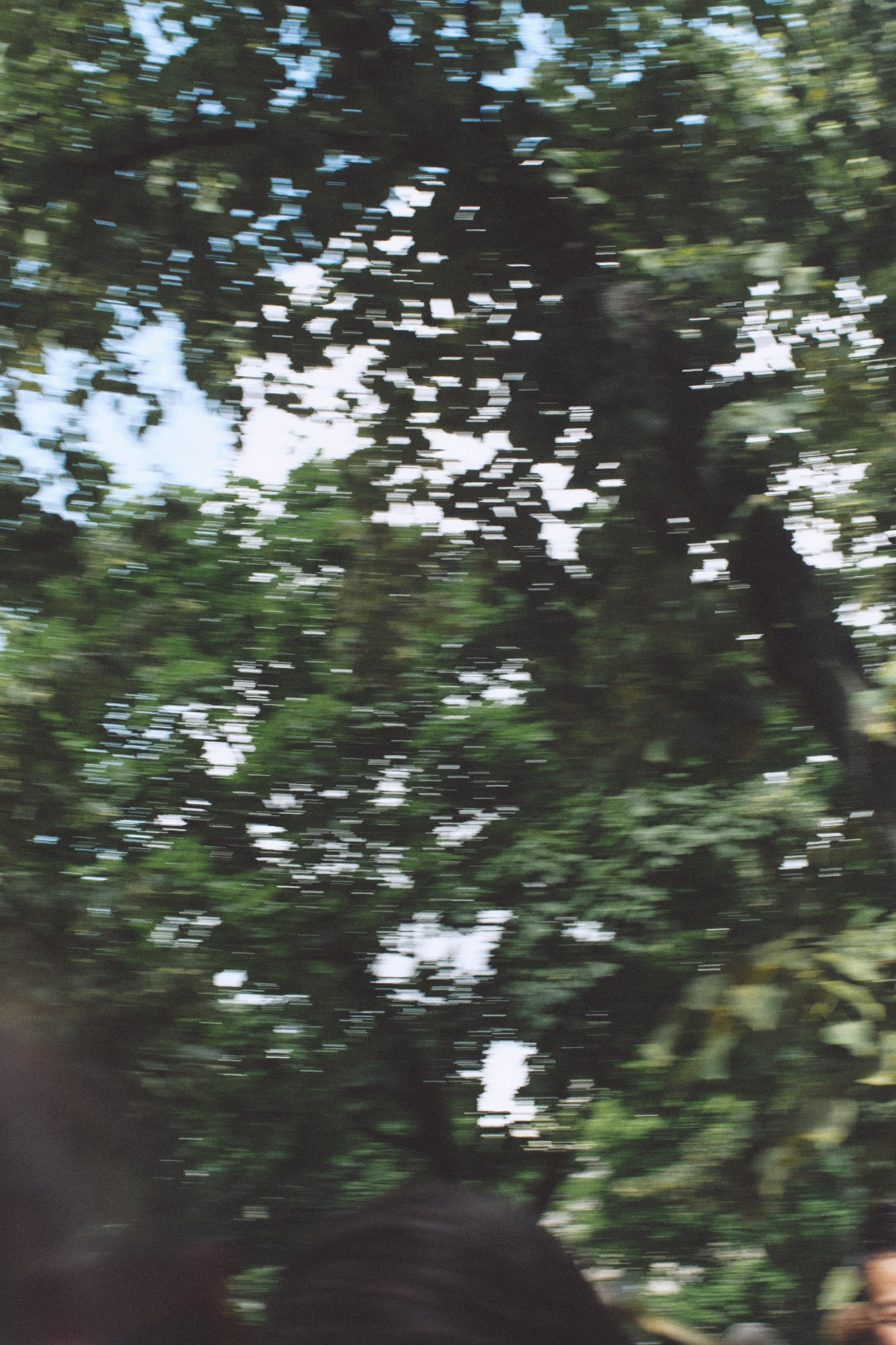 ISSEY MIYAKE (Paris Fashion Week. 26.06.2025). Eduard Savosin | Documentary & Portrait Photographer in Paris