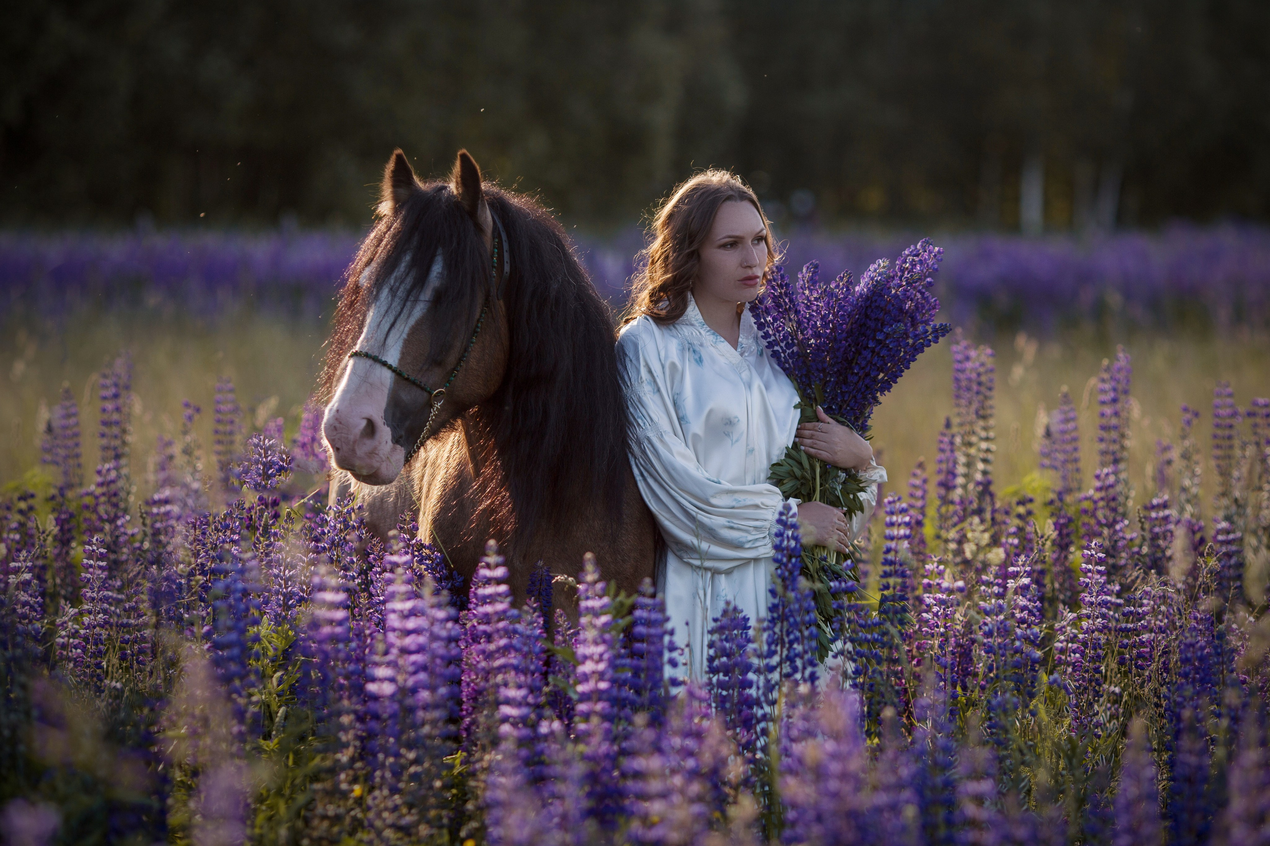 Фотосессия в люпинах с лошадью