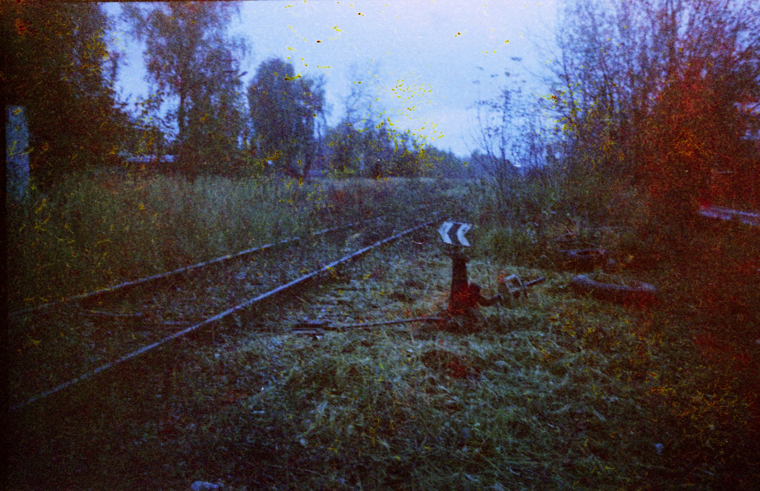 Сбрасывающий остряк. Татьяна Белякова — Фотохудожник | Концептуальная аналоговая фотография