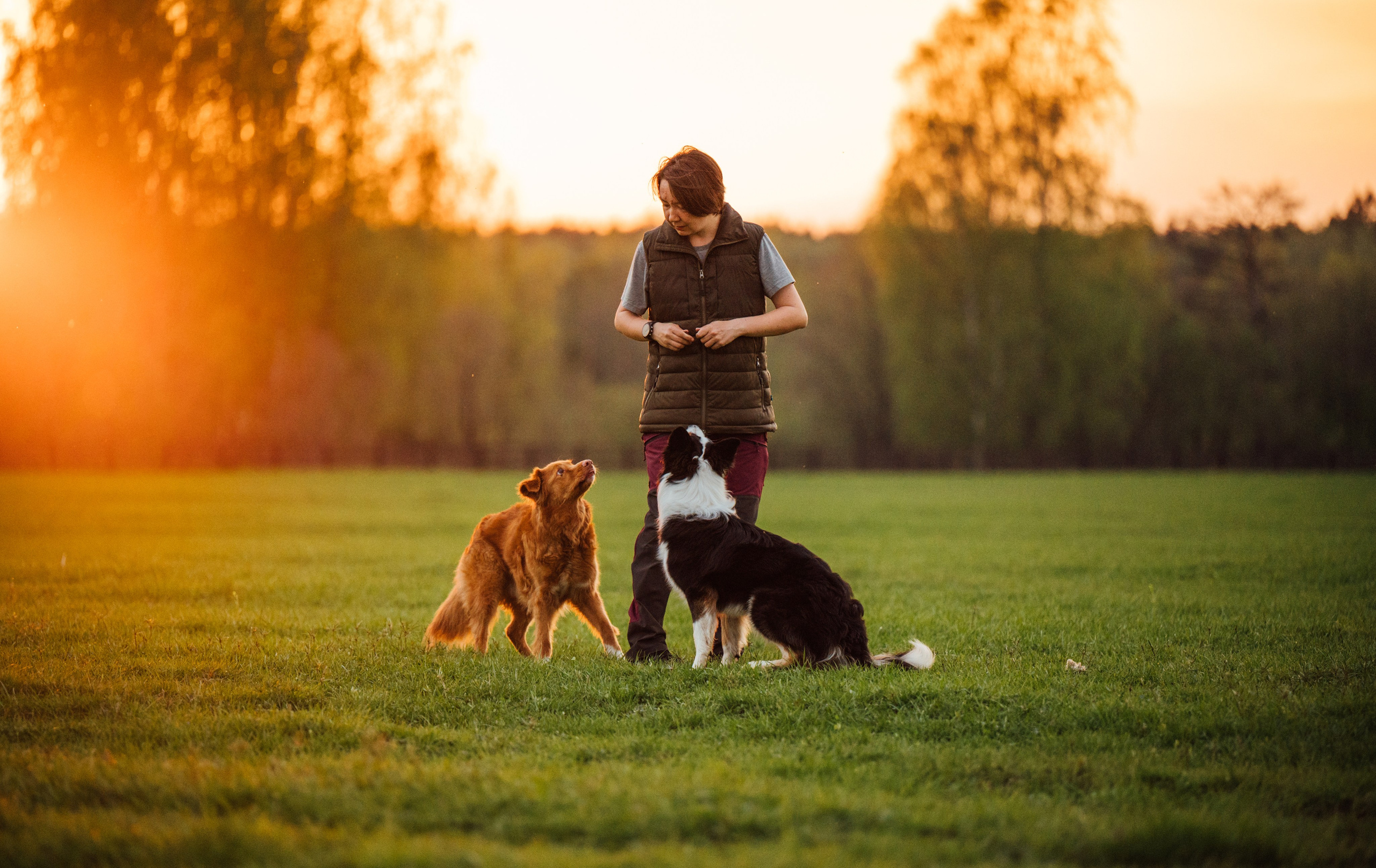 Алия, Ирвин и Грут. Семейный фотограф анималист Ананьева Мария — Москва