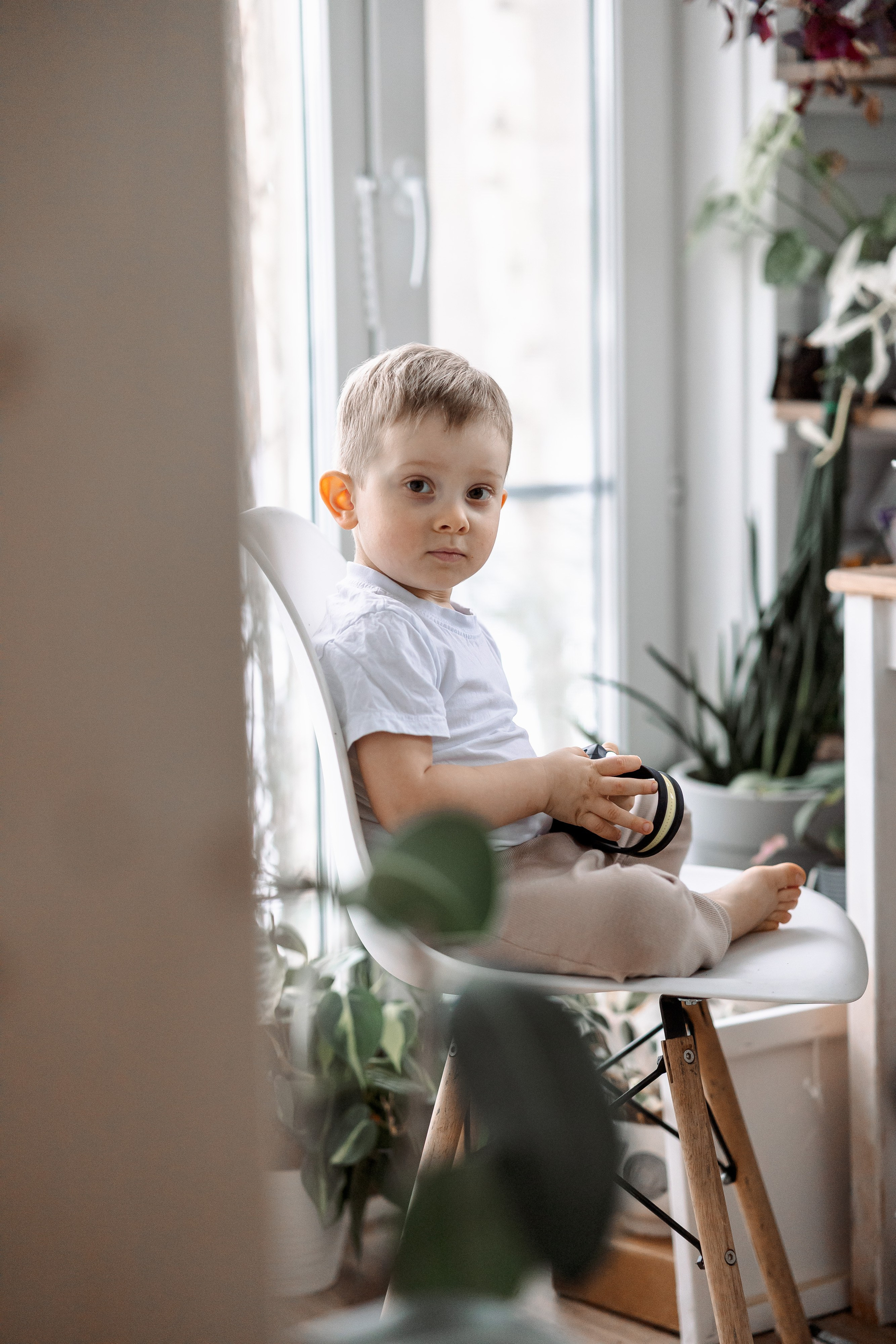 Домашняя новогодняя история