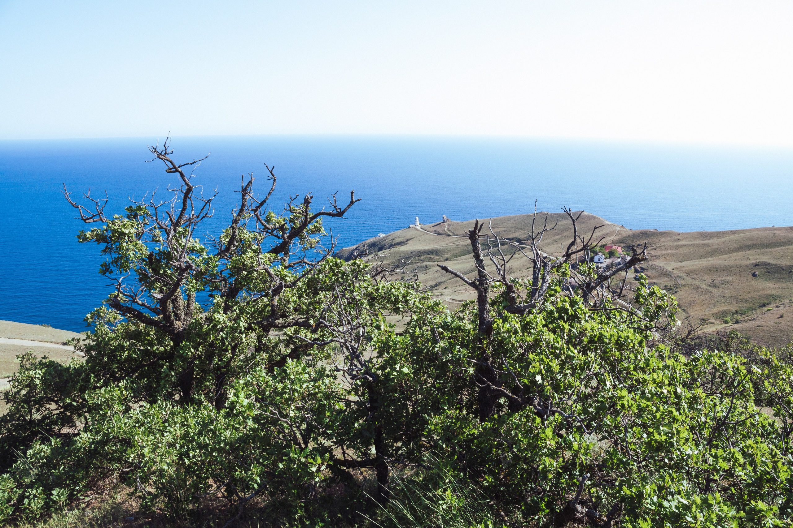Весеннее путешествие. Семен Соколов