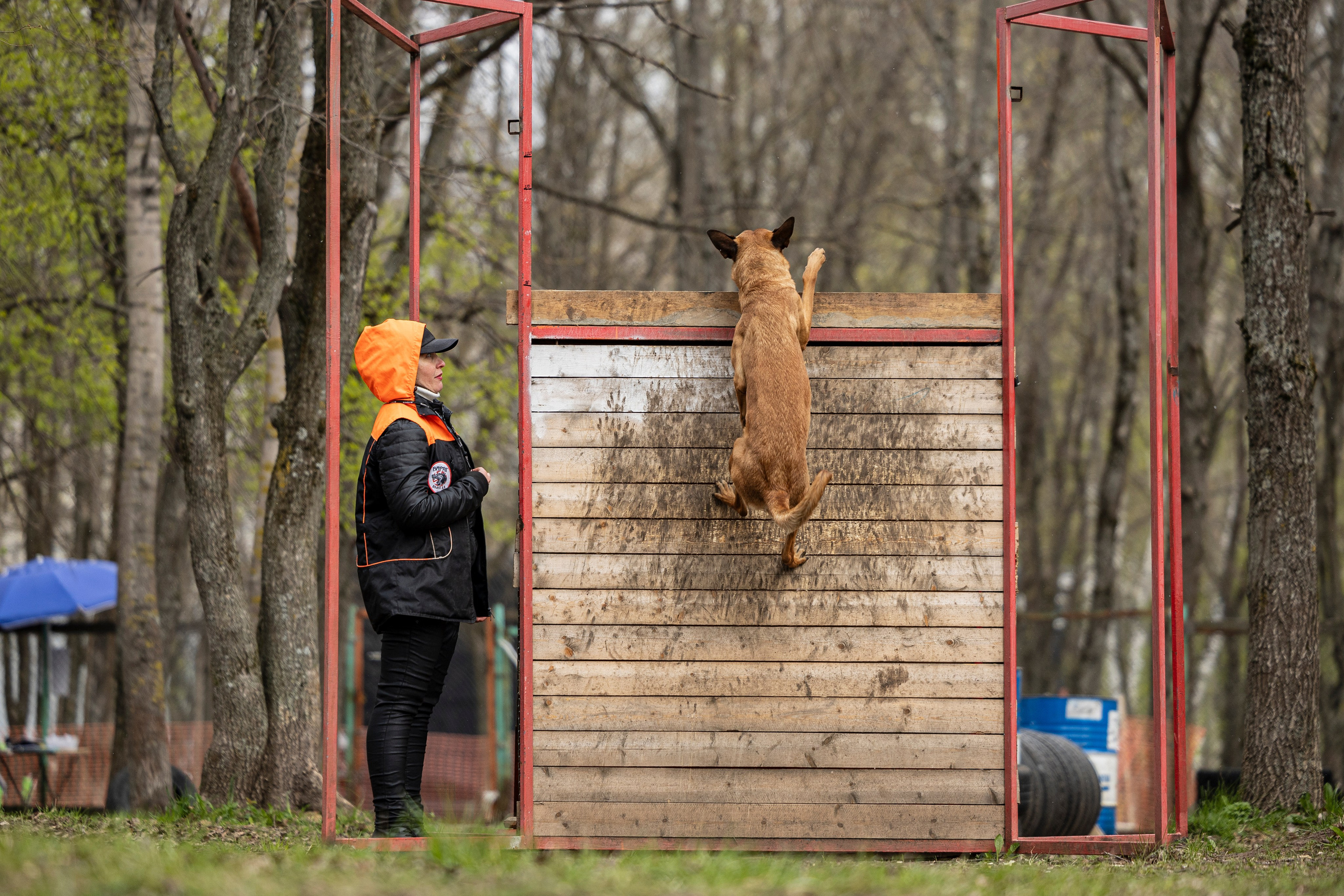 Квалификационные состязания по мондьорингу г. Вологда 11.05.24. Фотограф-анималист Анна Маринич