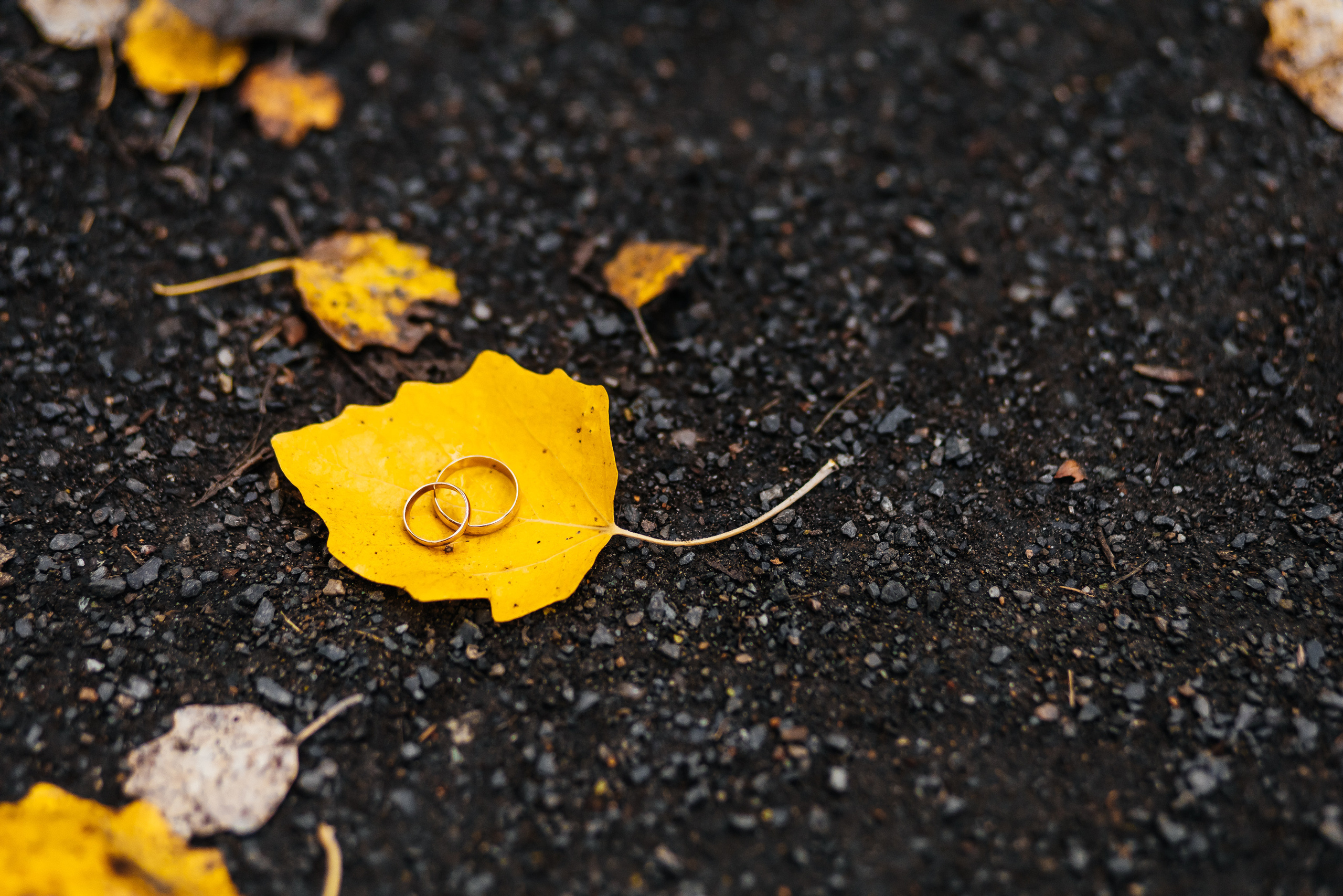 Кирил и Соня. Свадебный  фотограф Новосибирск