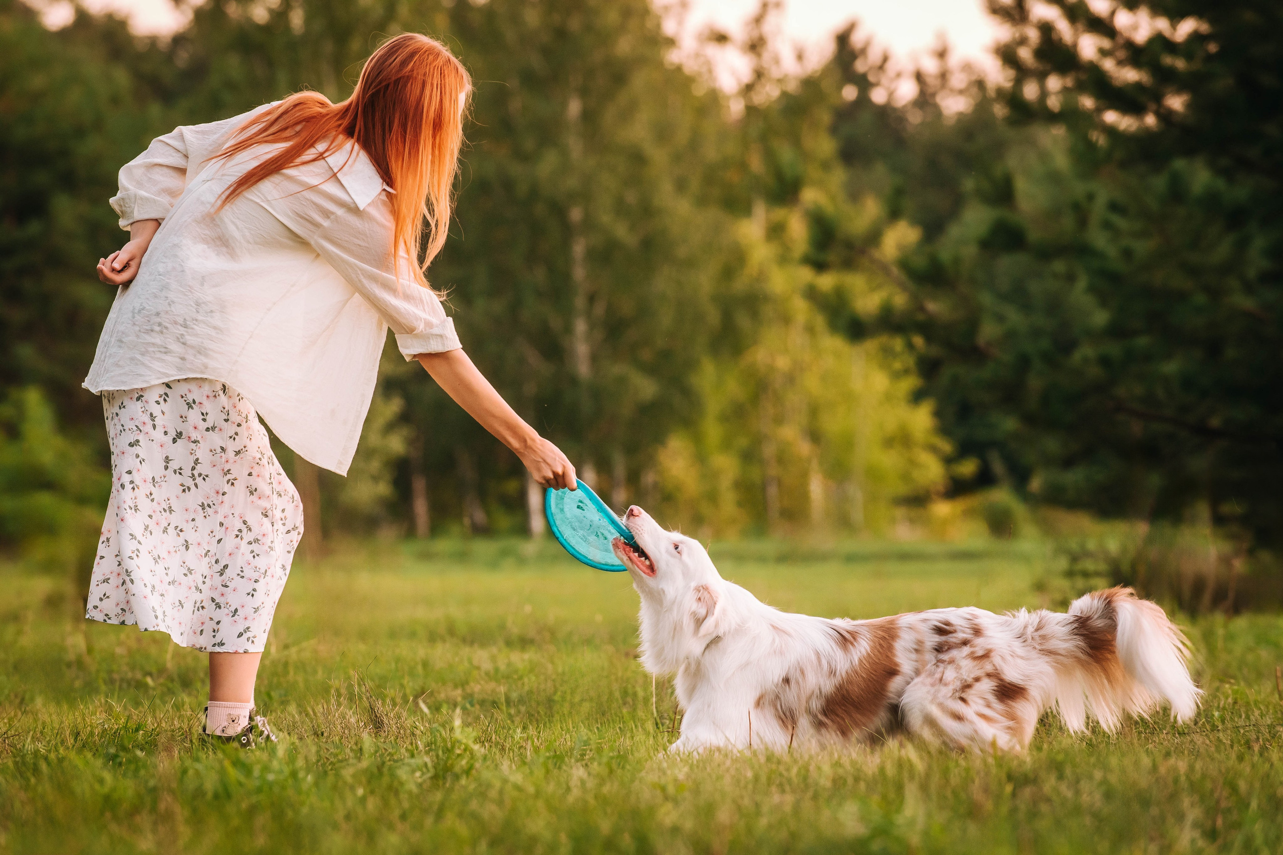 Лиза и Айви. Главная