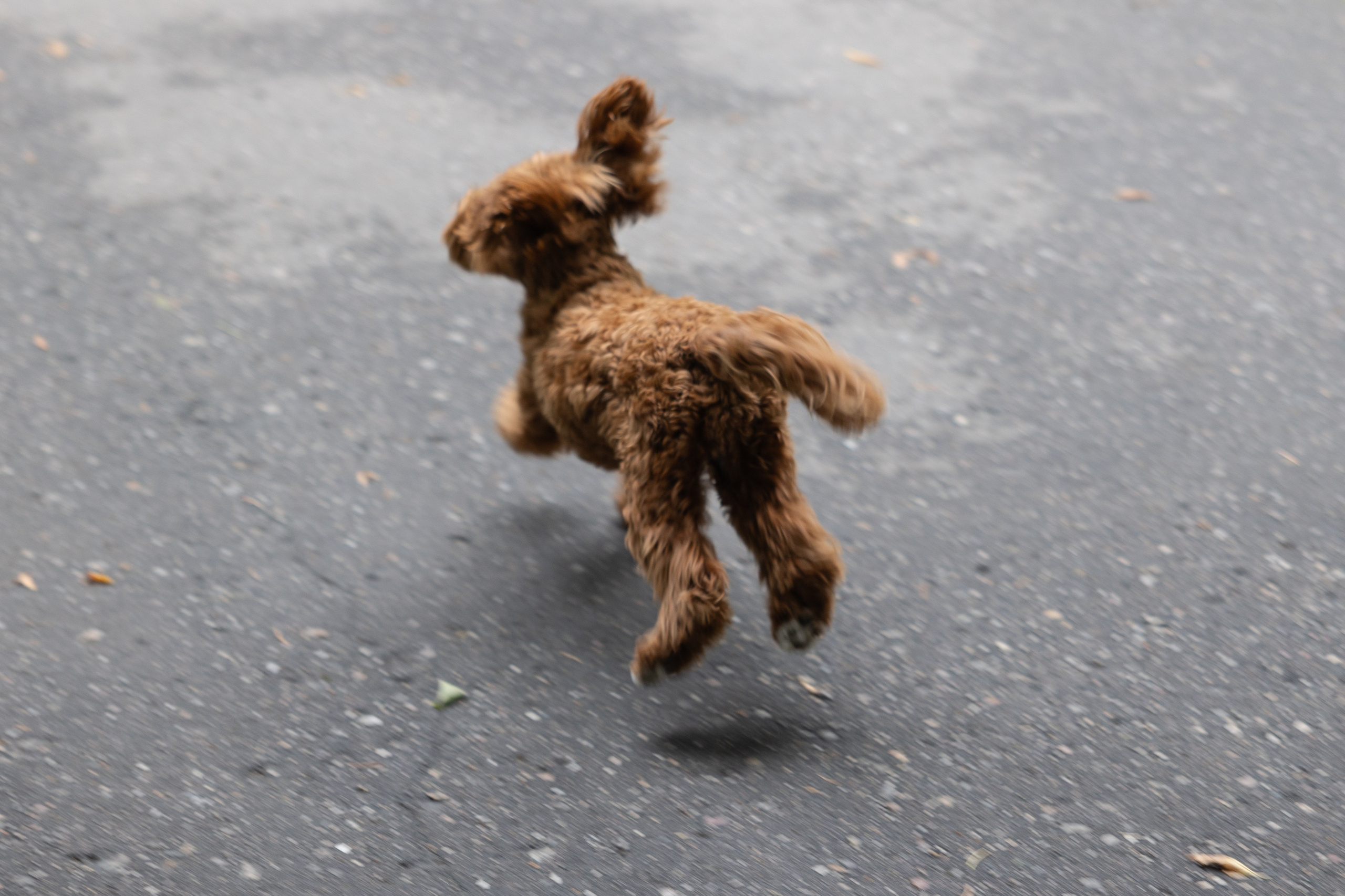 Art prints. Фотограф алина стерхова, алина стерхова фотограф, фотограф москва