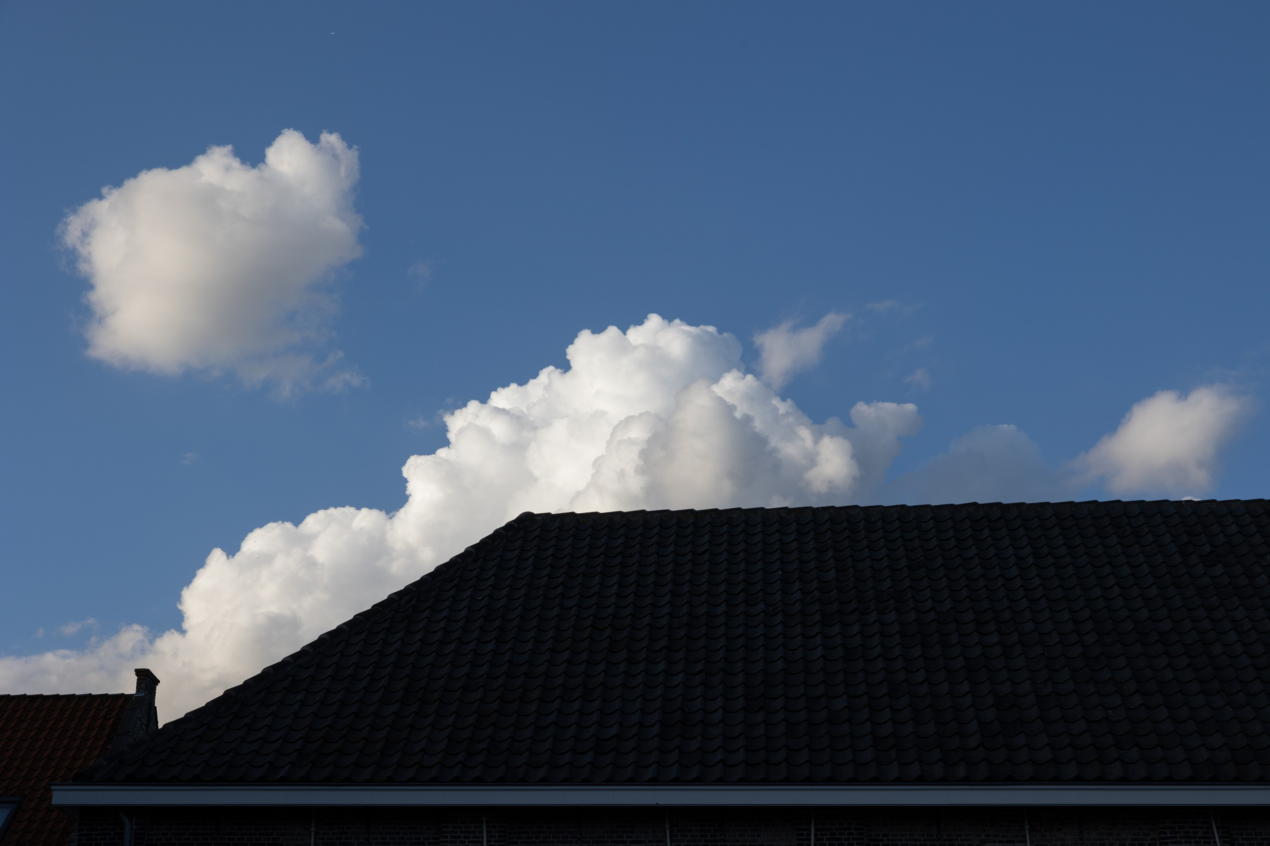 Art prints. Фотограф алина стерхова, алина стерхова фотограф, фотограф москва