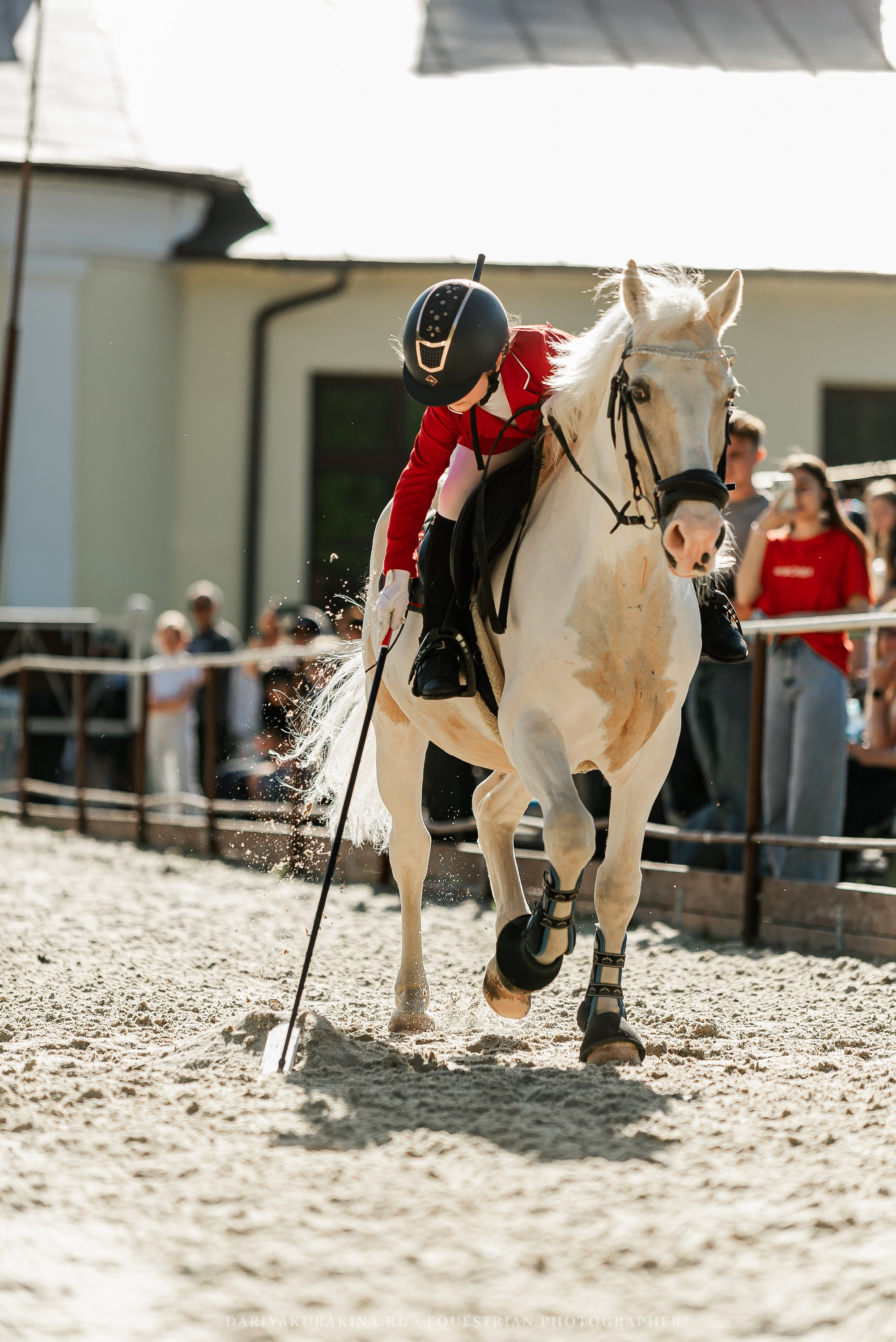 #ПОНИФОРУМ 2024. Конный фотограф Куракина Дарья • Фотосессии с лошадьми