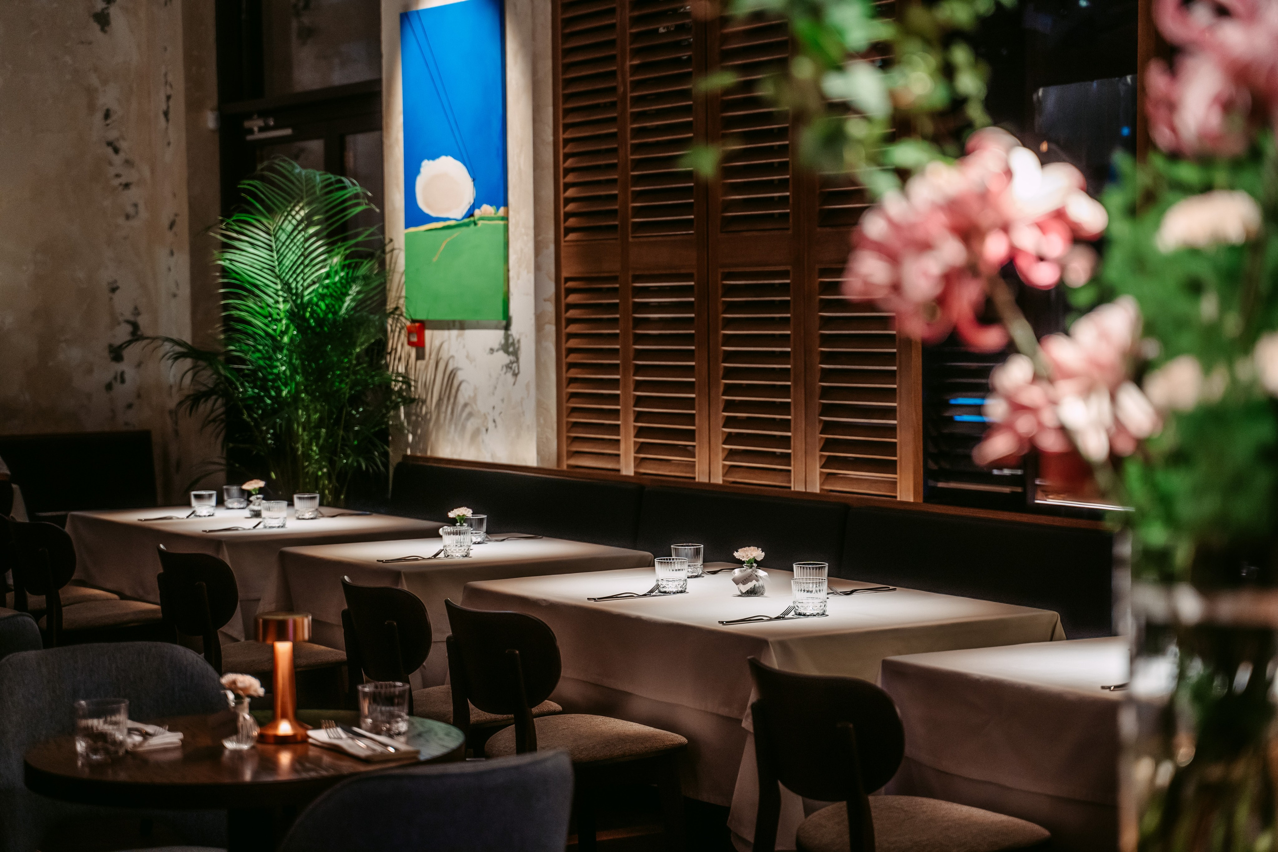 Avocado Queen / сеть ресторанов в Москве и Казани. Саша Копылов, фотограф в Казани