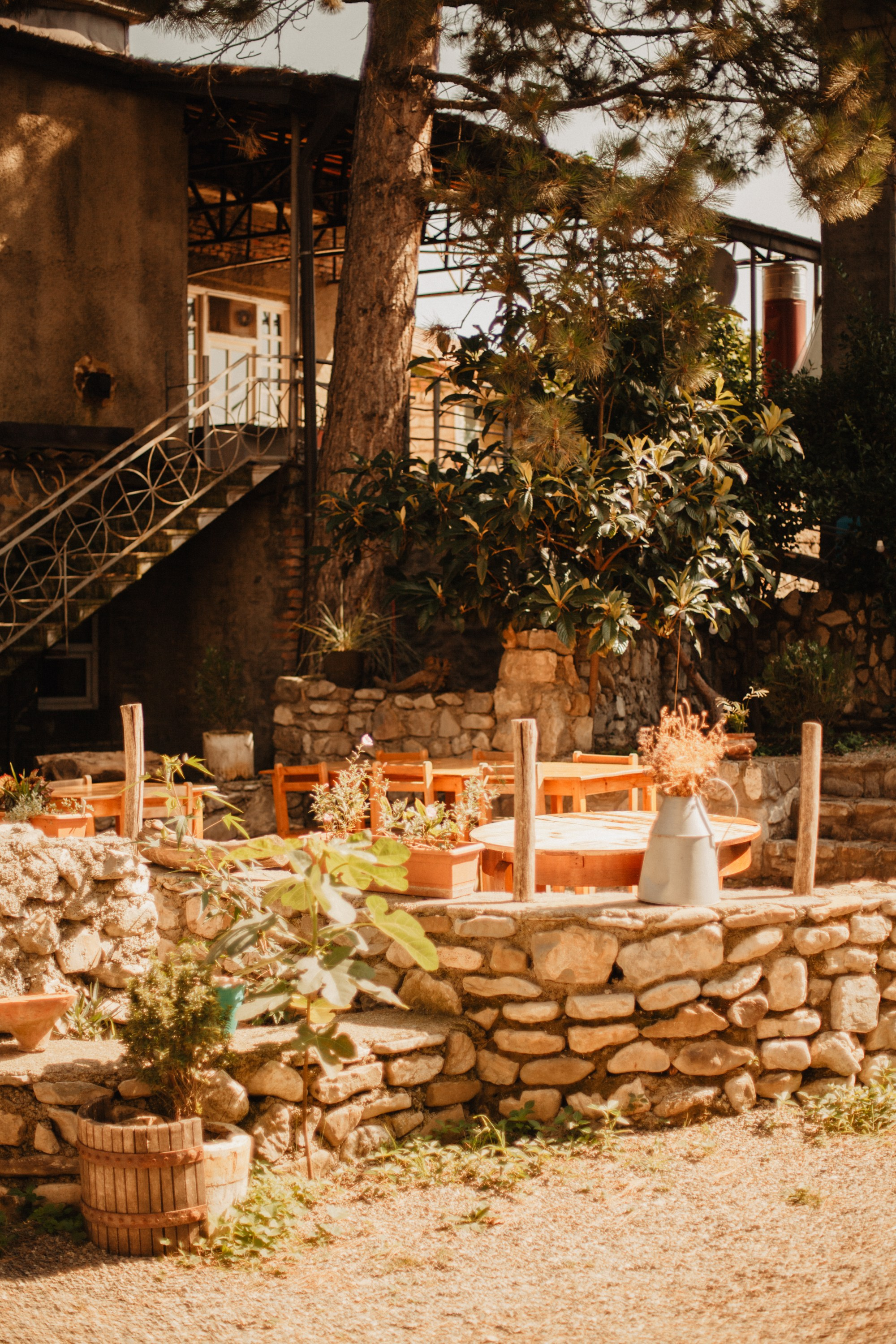 Грузинские каникулы. Violetta Skripka