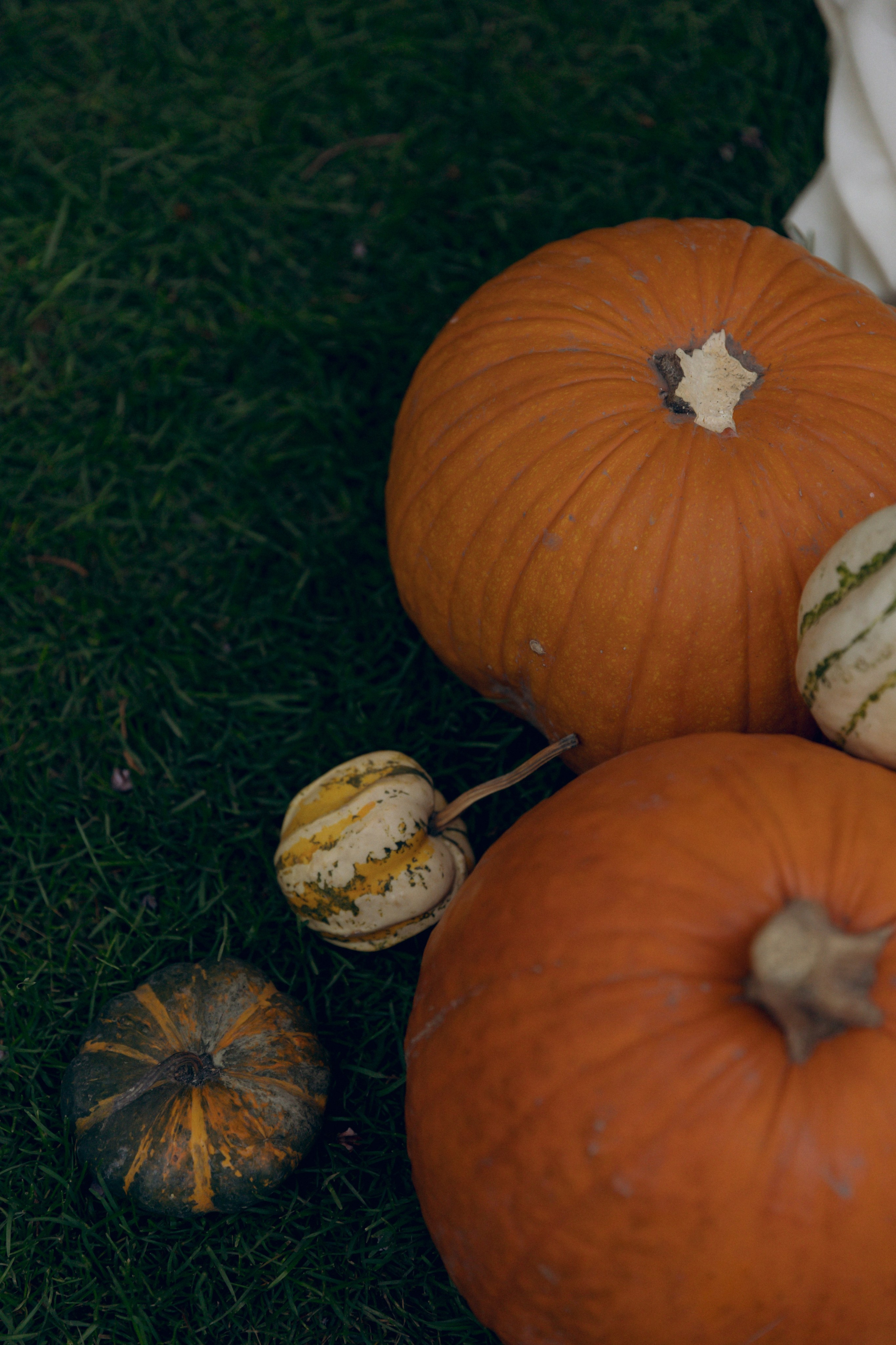 Николай и Юлия, 26 октября 2024. Свадебный  и семейный фотограф в Краснодаре