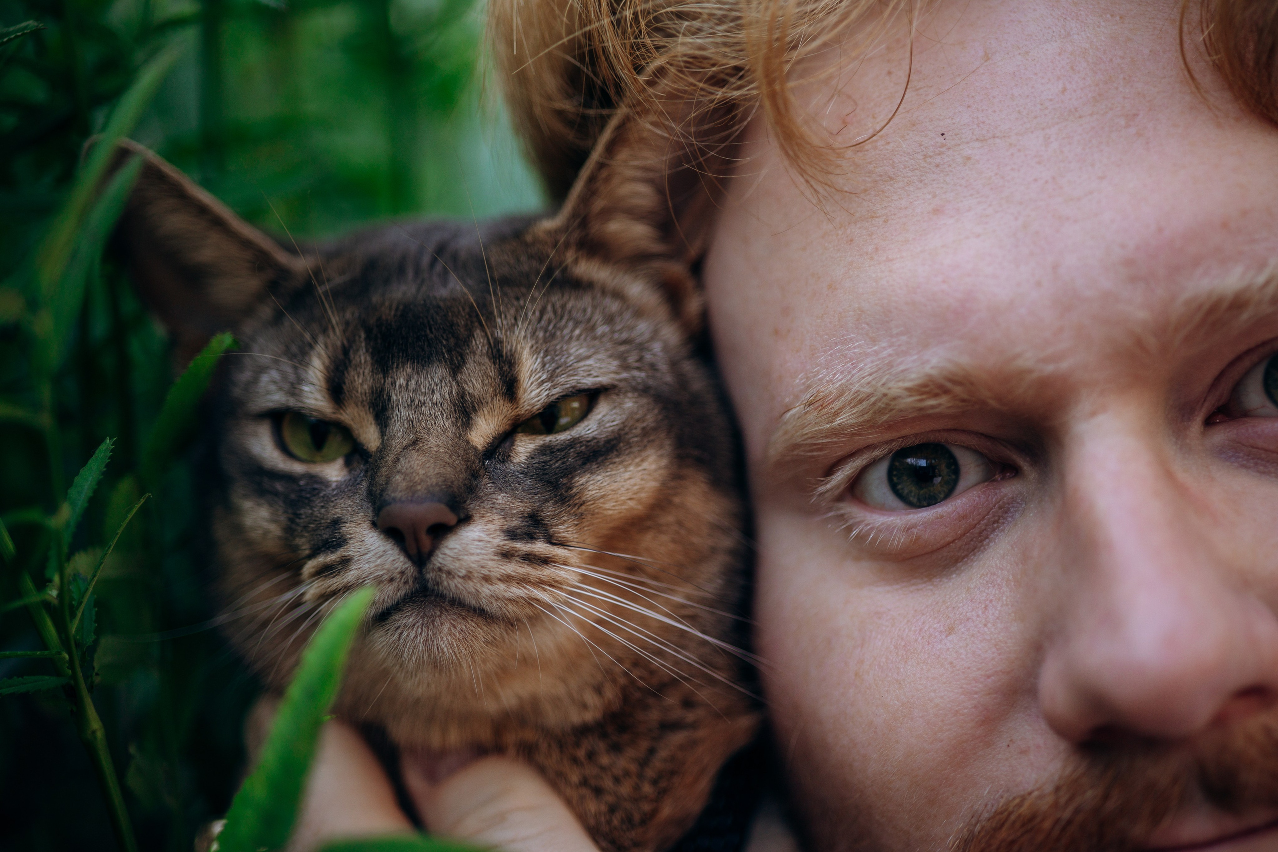 Циско и его семья. Фотограф — Анималист | Санкт-Петербург