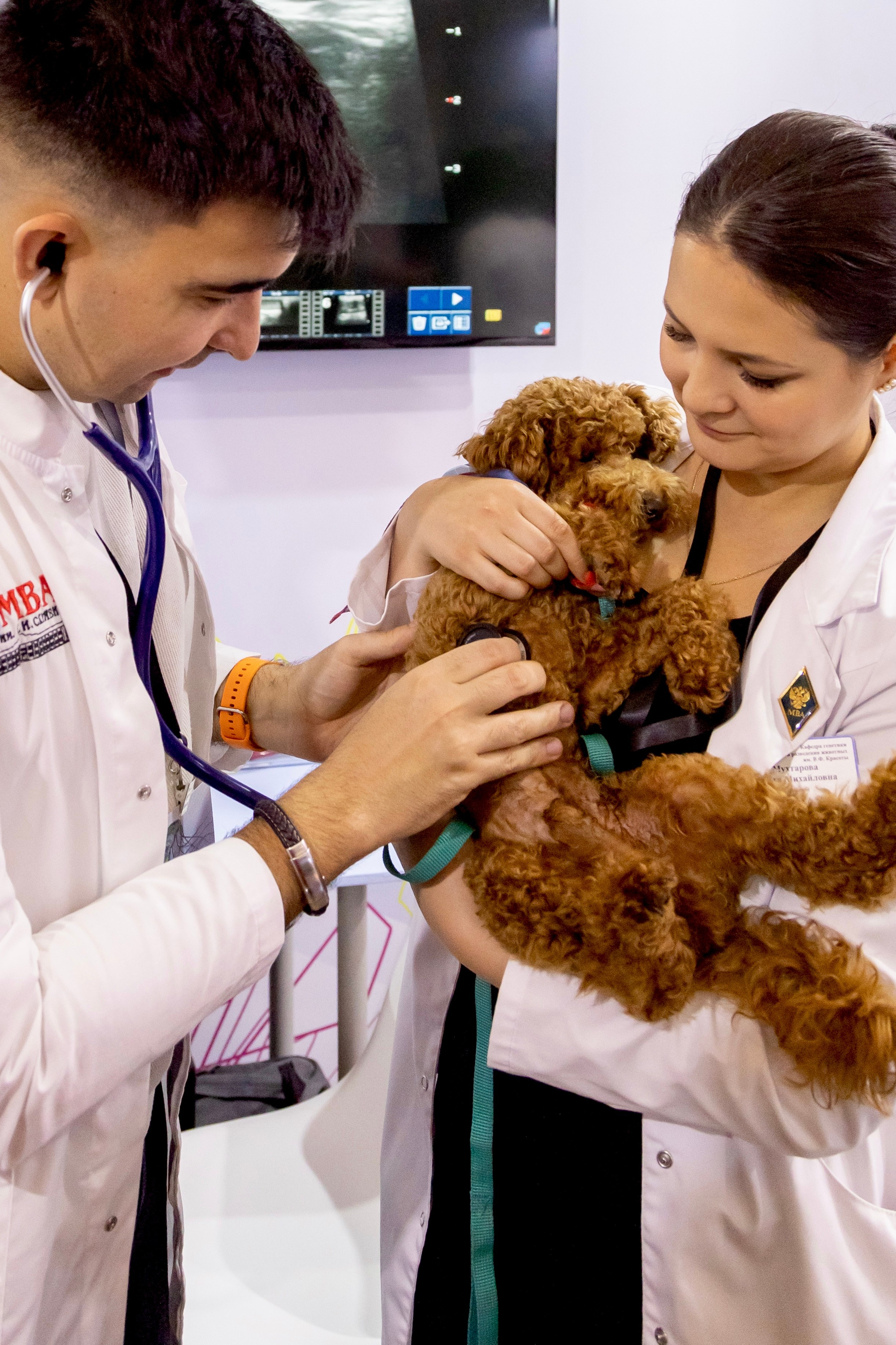 Репортажные съёмки. Фотограф в Москве — Рина Серёгина — съёмка в студии и репортаж