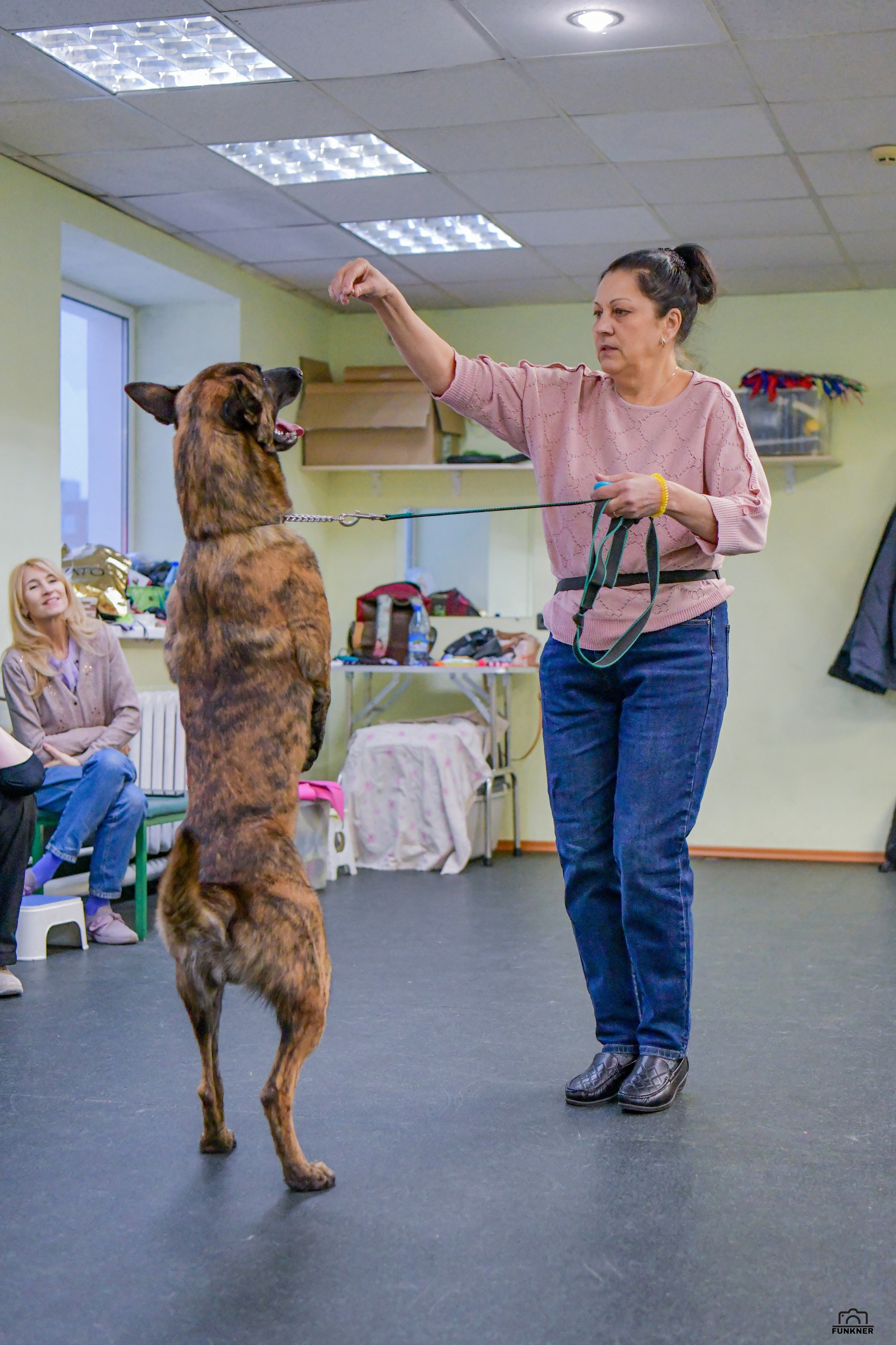 Кинологический клуб «Бодрый хвост». Свой взгляд через объектив
