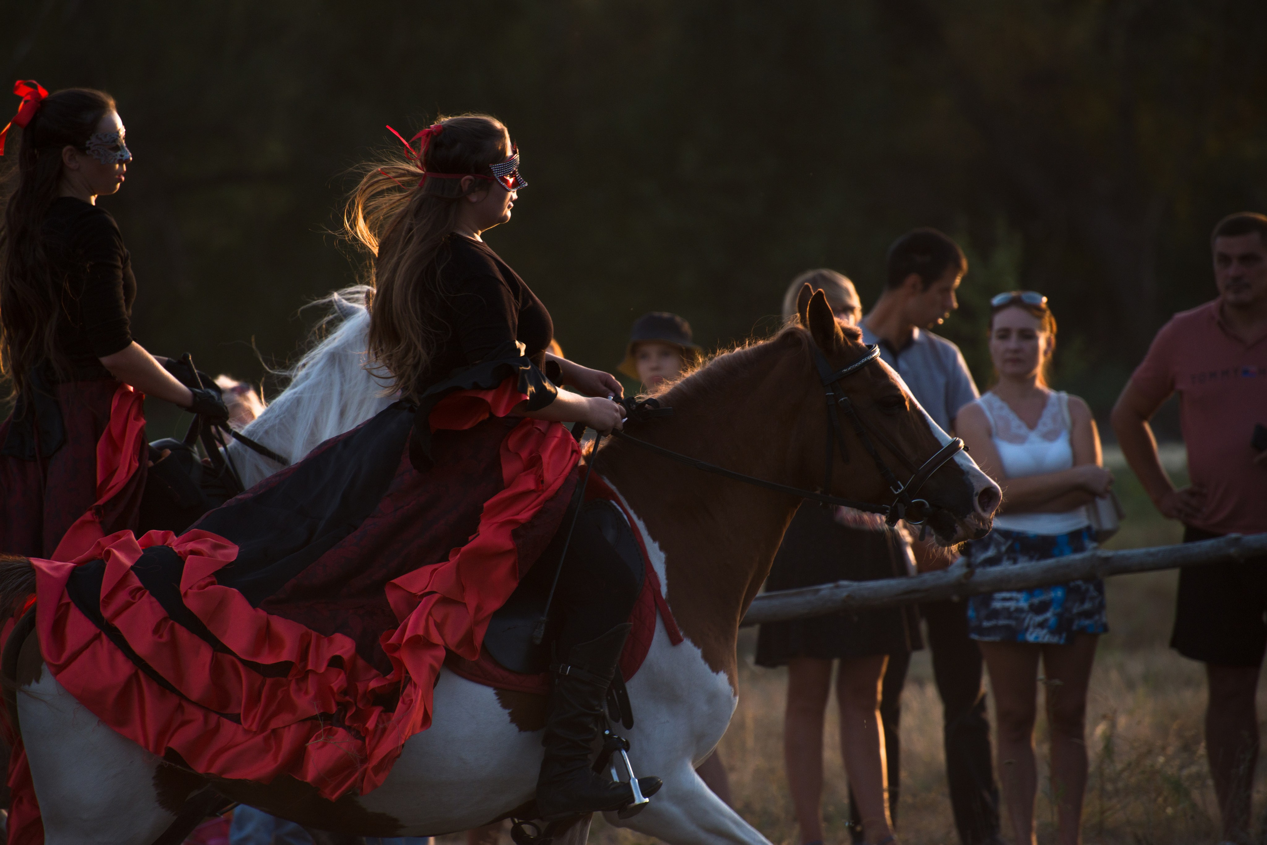 Карнавал Догвинтер. Конный фотограф в Саратове Юлия Иванова