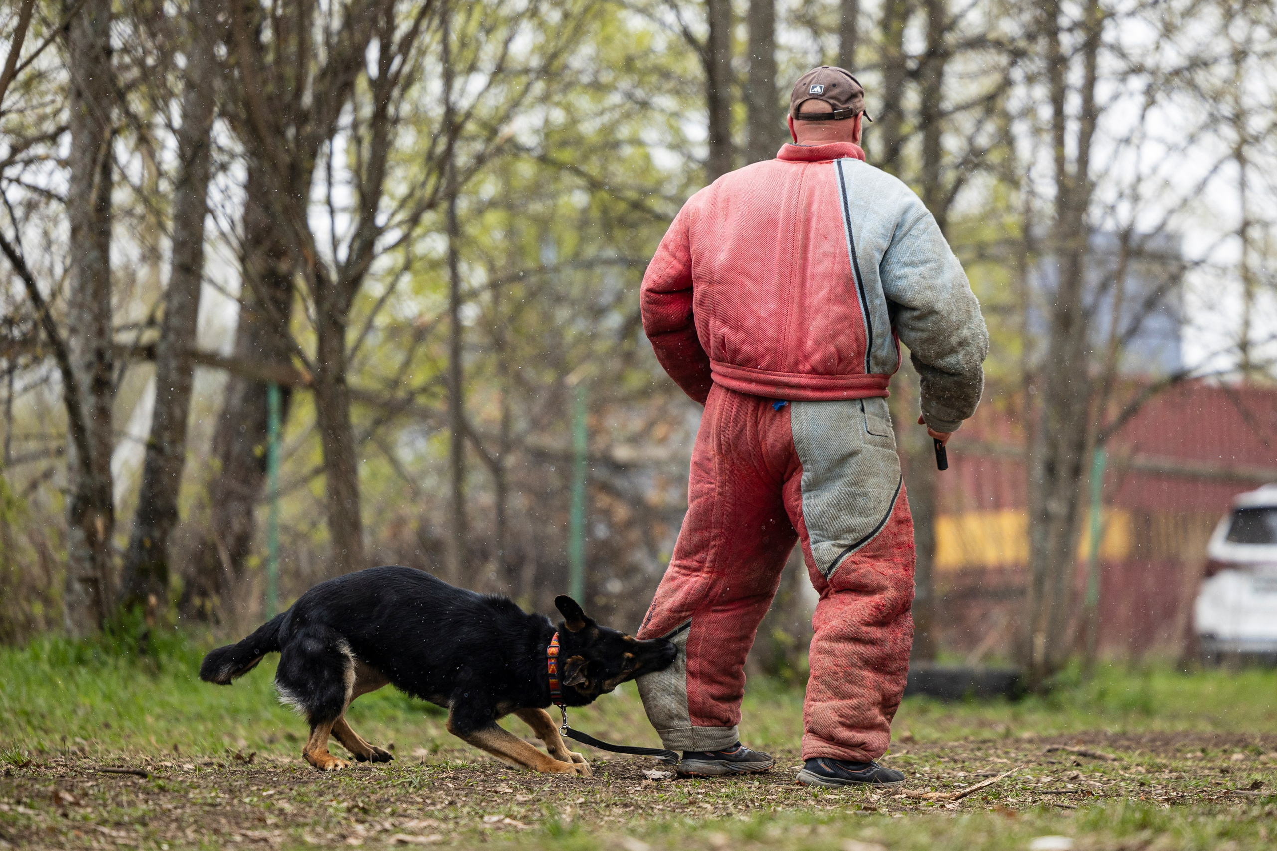 Квалификационные состязания по мондьорингу г. Вологда 11.05.24. Фотограф-анималист Анна Маринич
