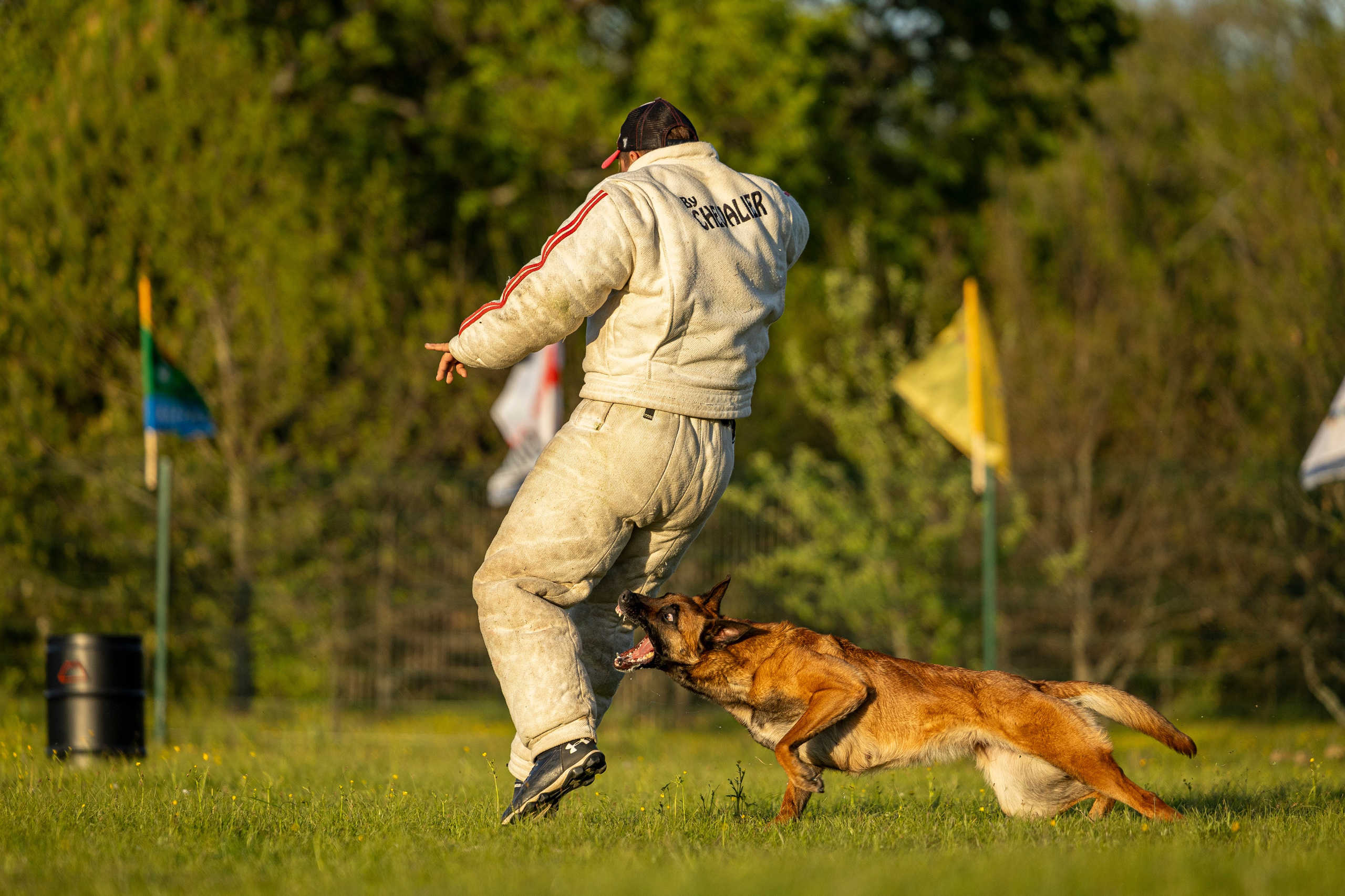 Испытания по мондьорингу в Нижнем Новгороде. Фотограф-анималист Анна Маринич