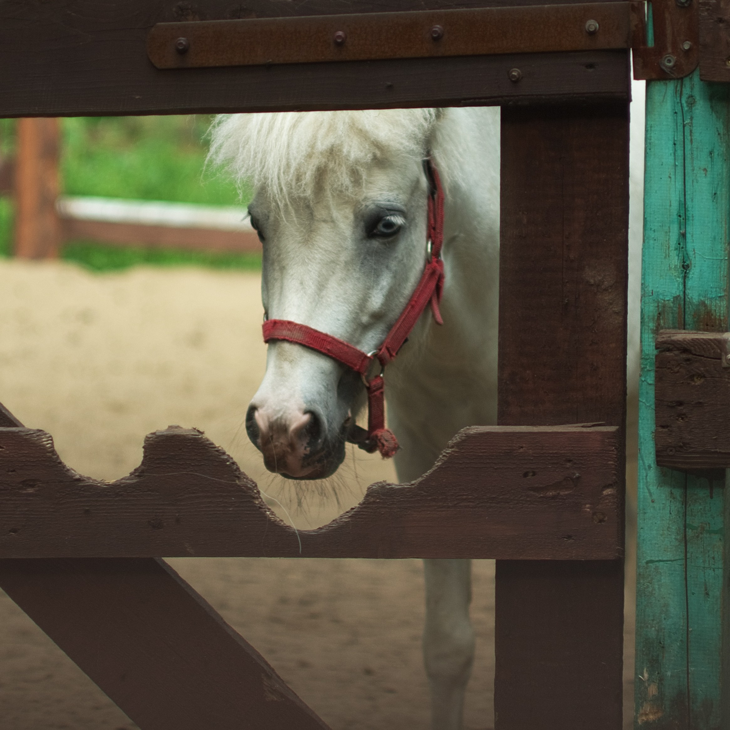 Концептуальная фотография. Фотограф Константин Ясинский